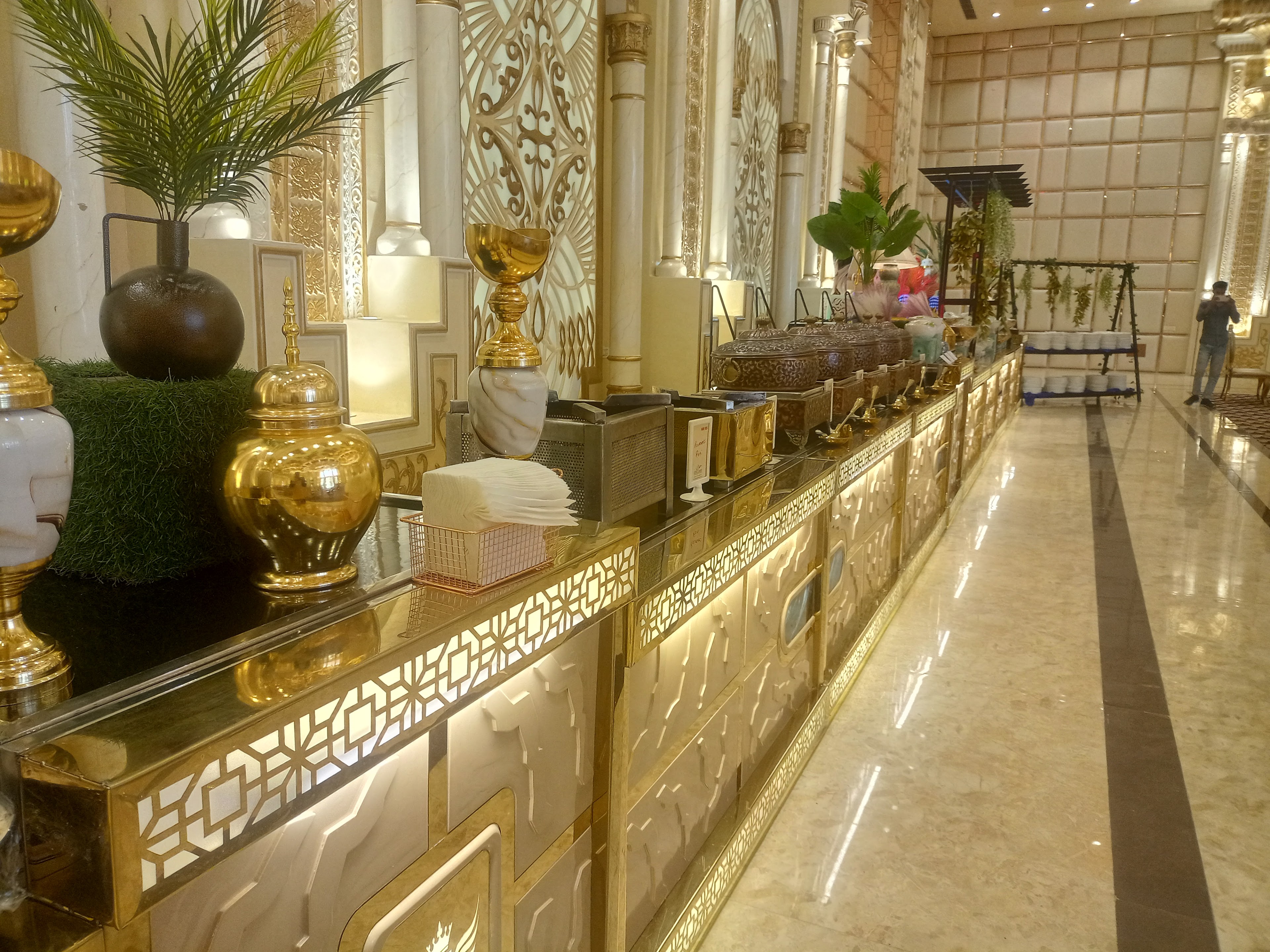 Arista Palace, Chandigarh — photo 7