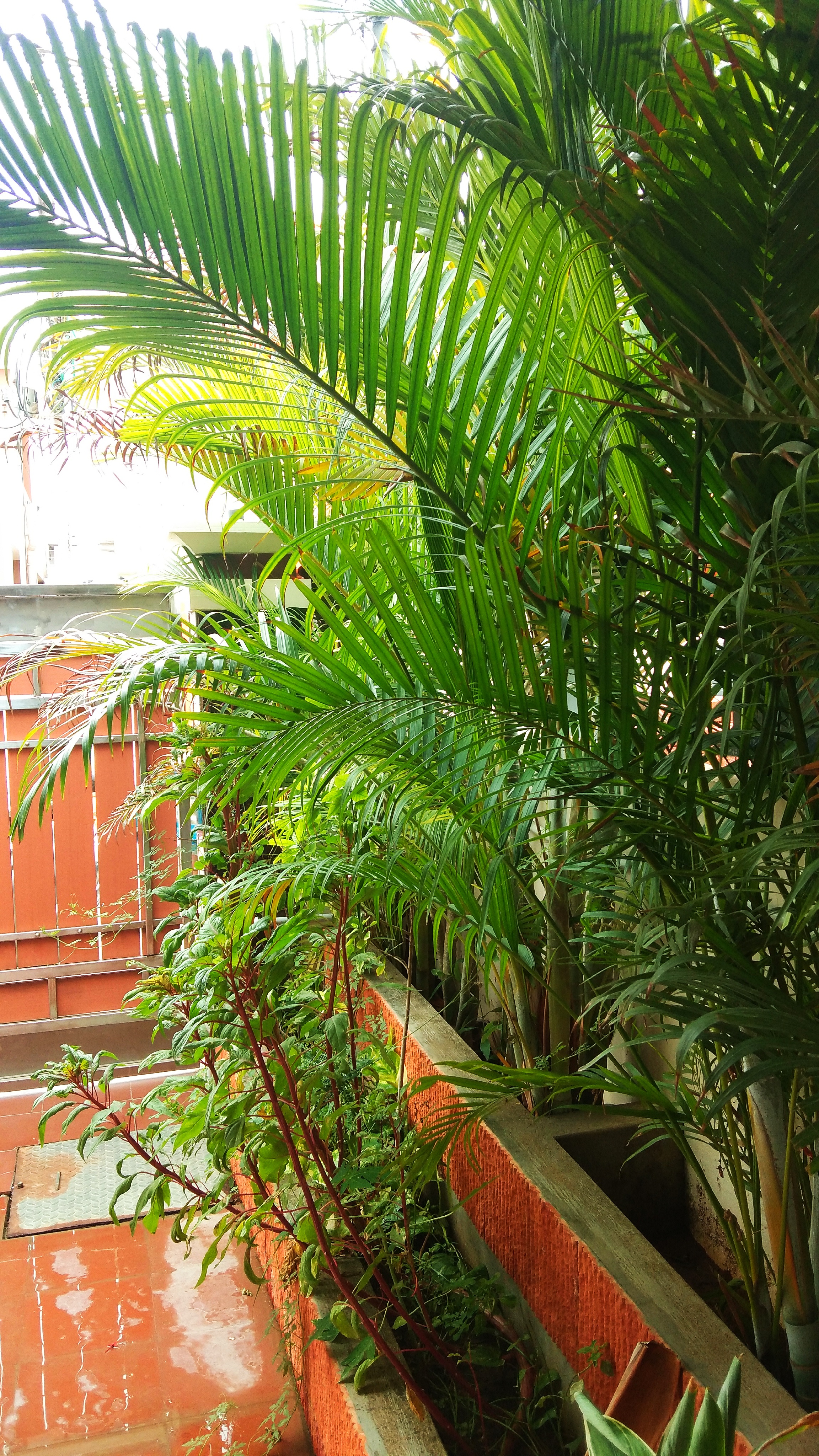 Taj Mini Hall, Pudukkottai — photo 9