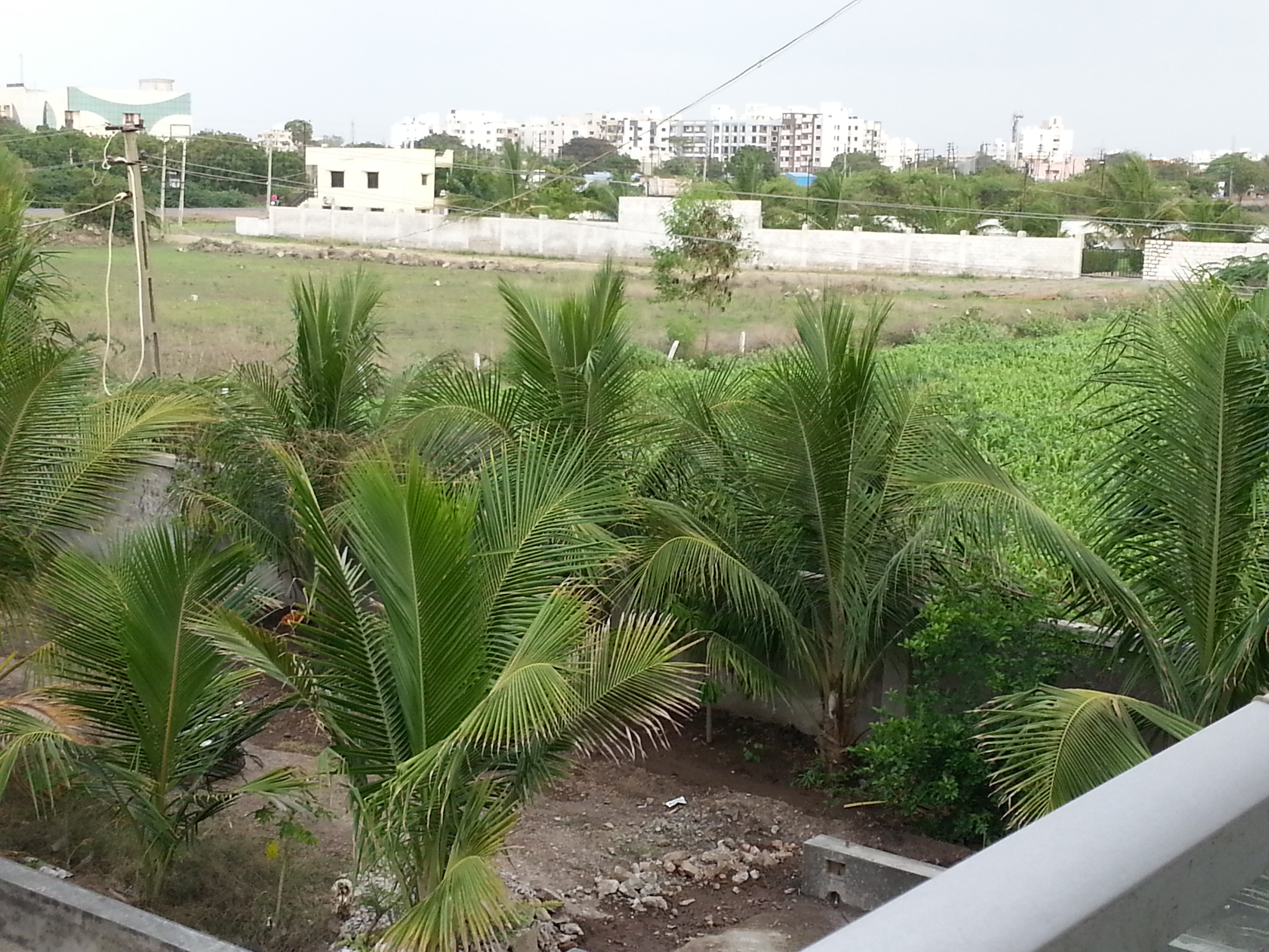 Avsar party plot, Jamnagar — photo 4