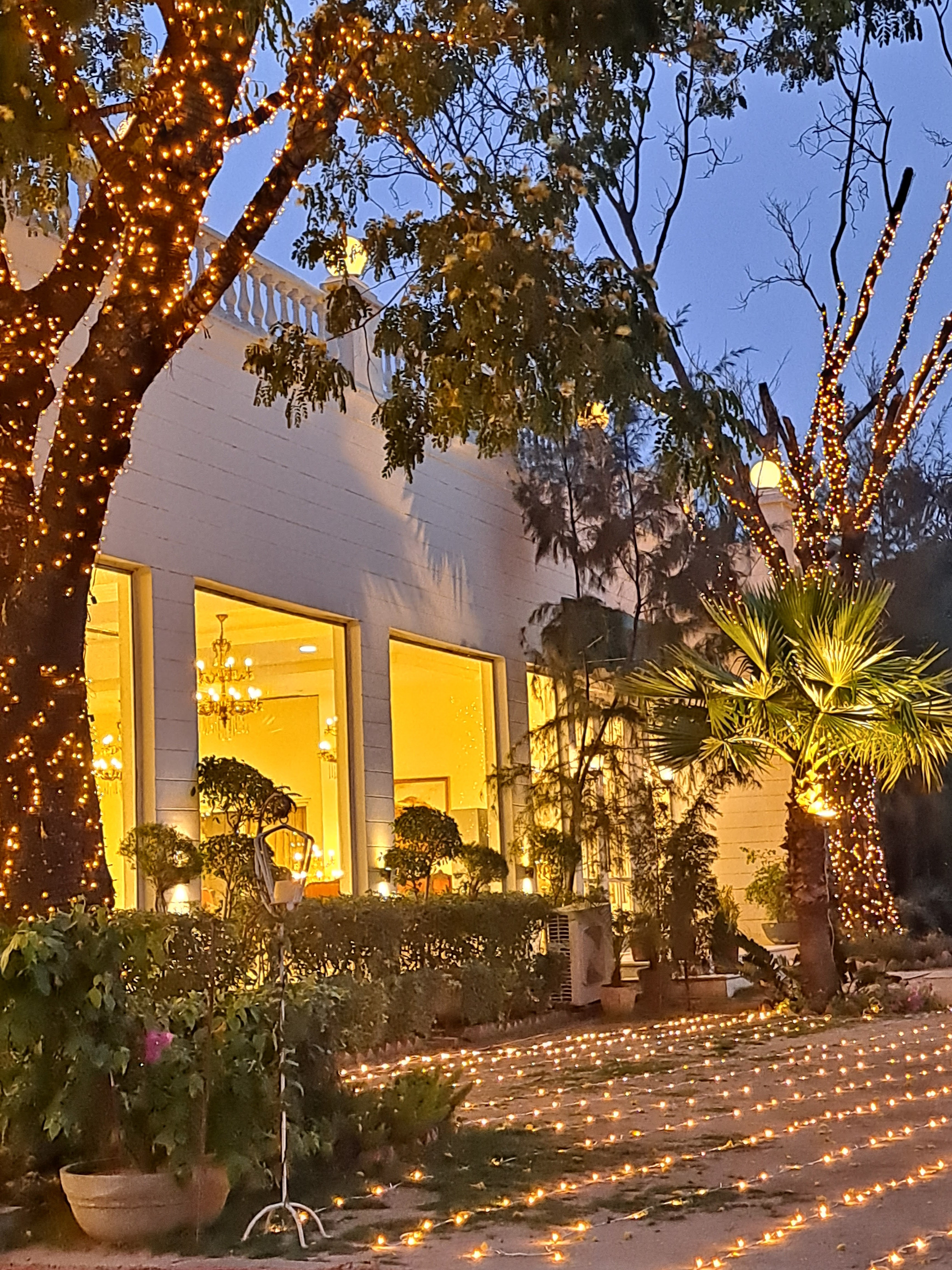 The Amaltas Farms, Chandigarh — photo 5