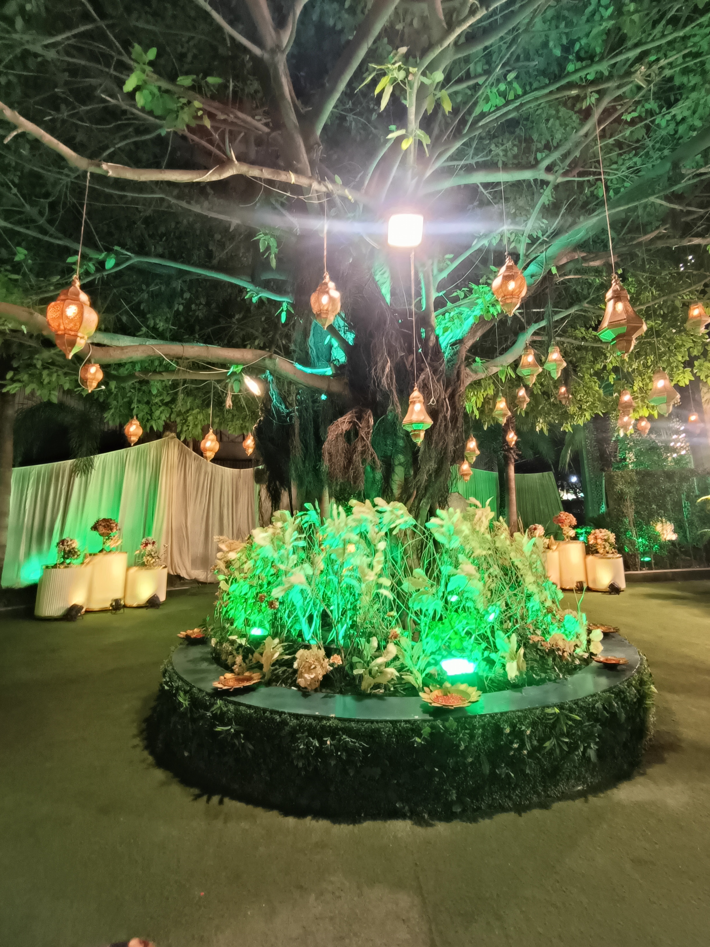 Sham Bagh, Panipat — photo 5