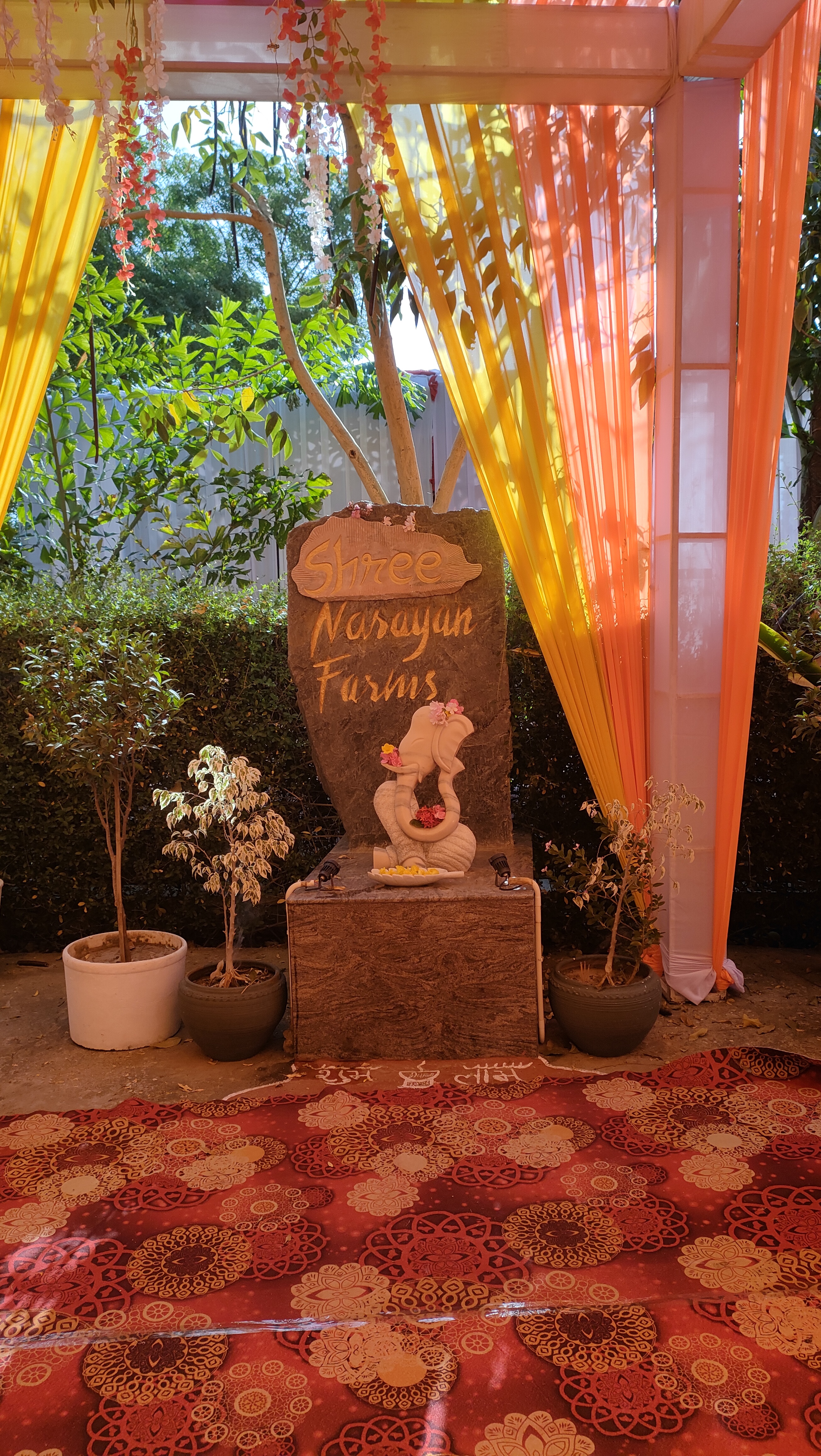 Shree Narayan Farms, Udaipur — photo 7