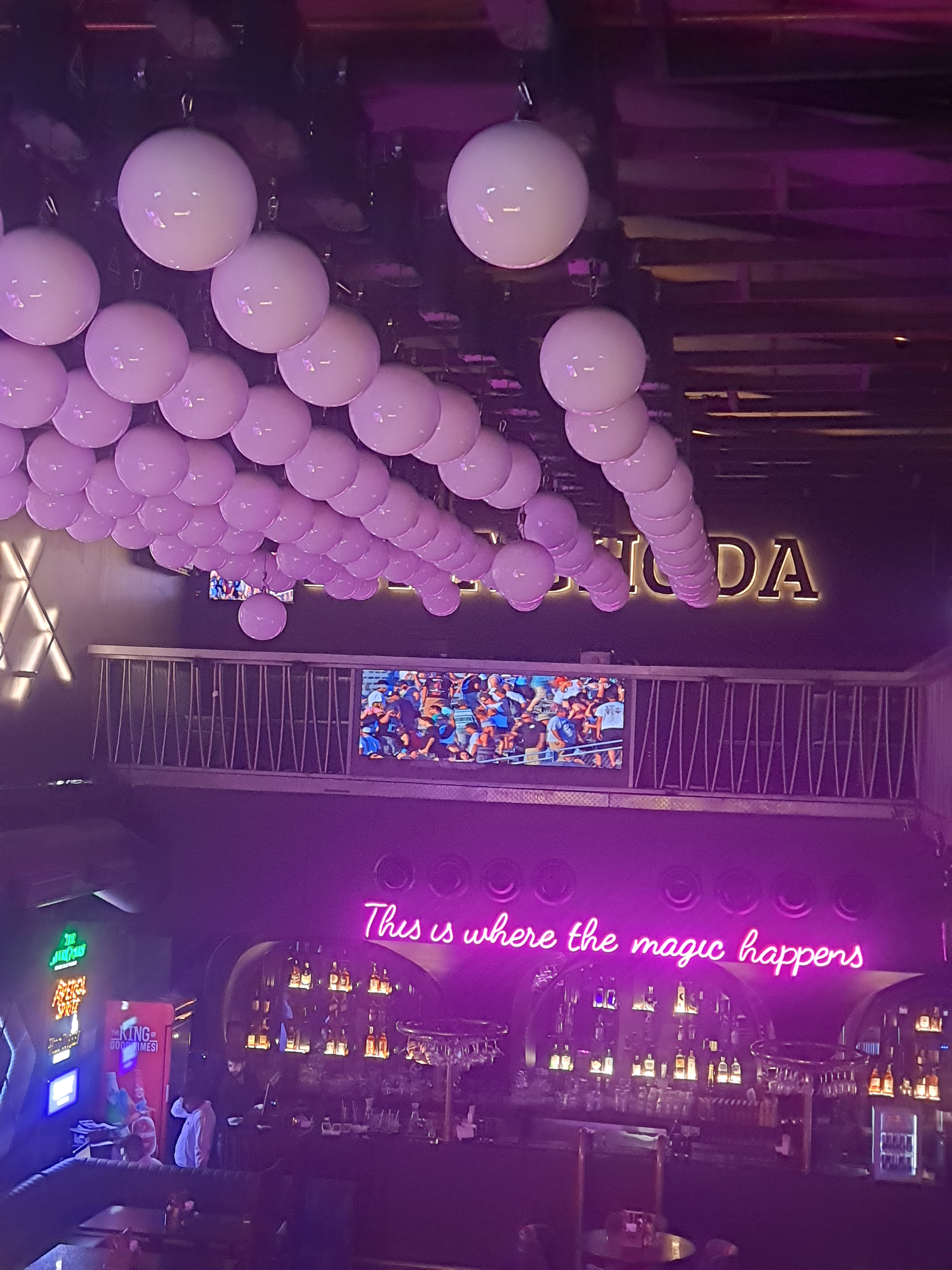 Kala Ghoda, Chandigarh — photo 3