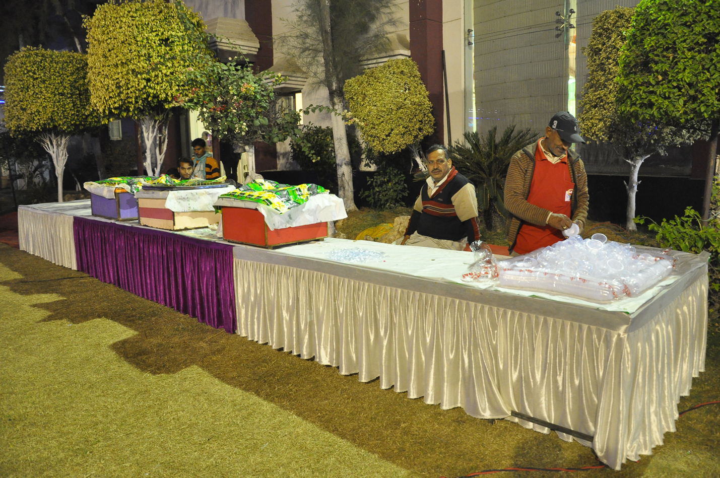 Millennium Palace and Resort, Hisar — photo 5