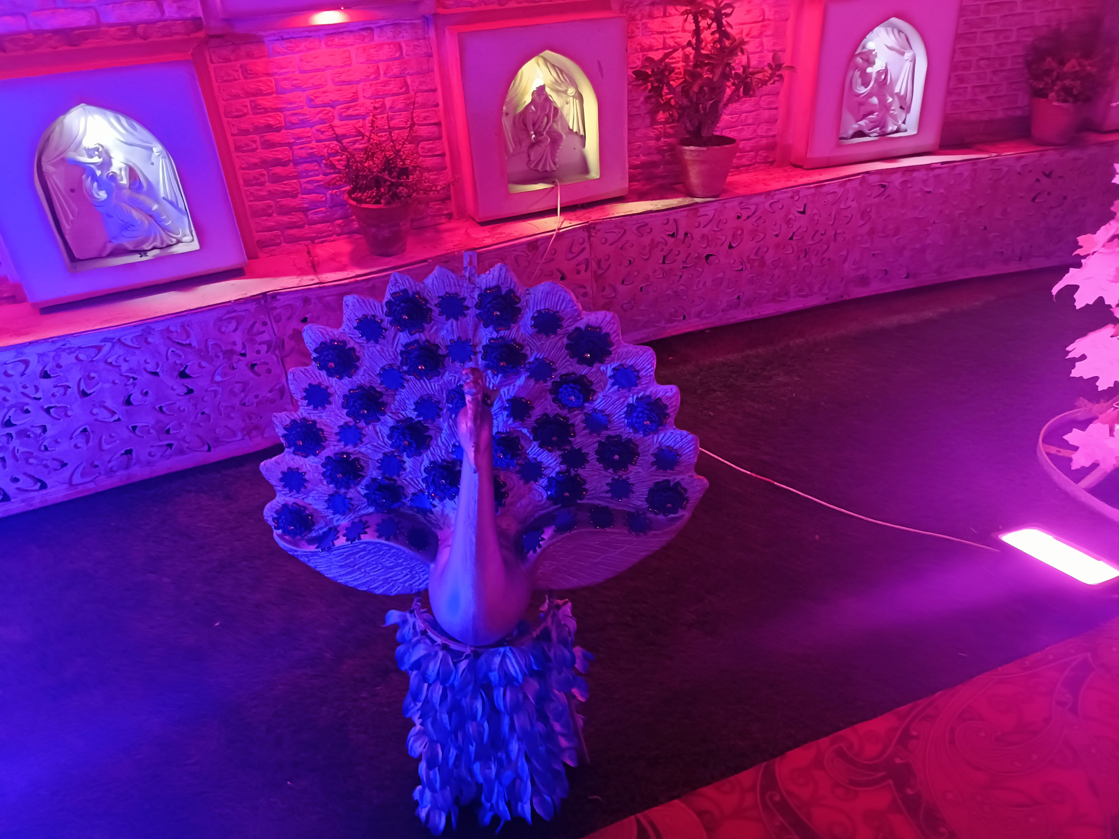 ROYAL AMBIENCE PARTY LAWN , INDIRAPURAM, Ghaziabad — photo 9