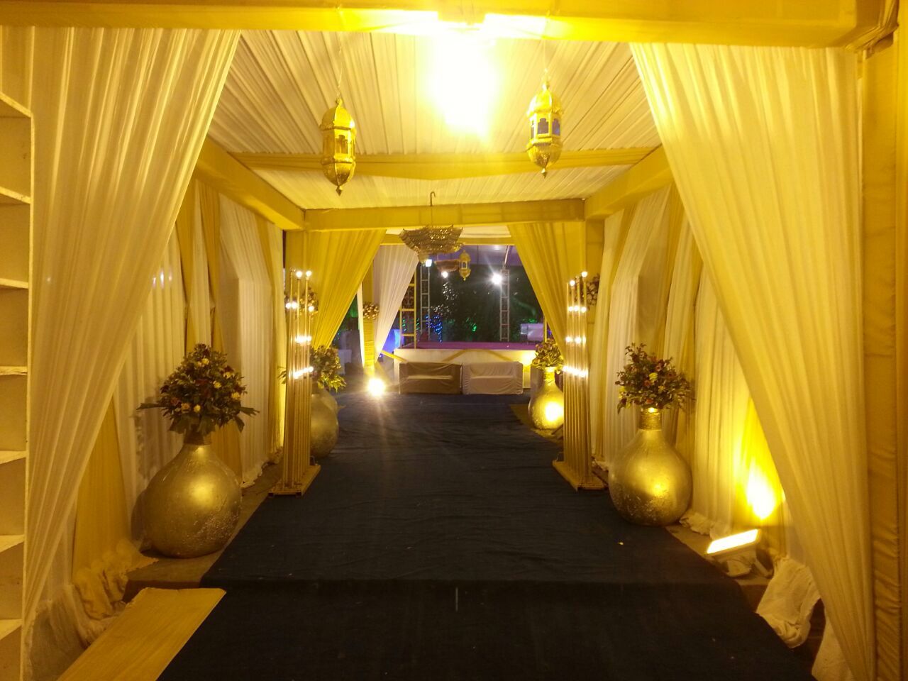 Valley View Garden Vatika, Udaipur — photo 3