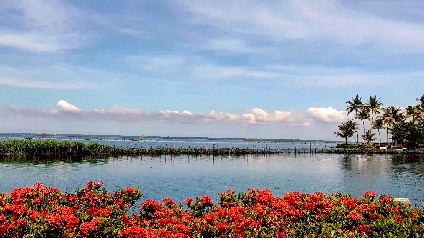 Kumarakom Lake Resort, Kumarakom — photo 6