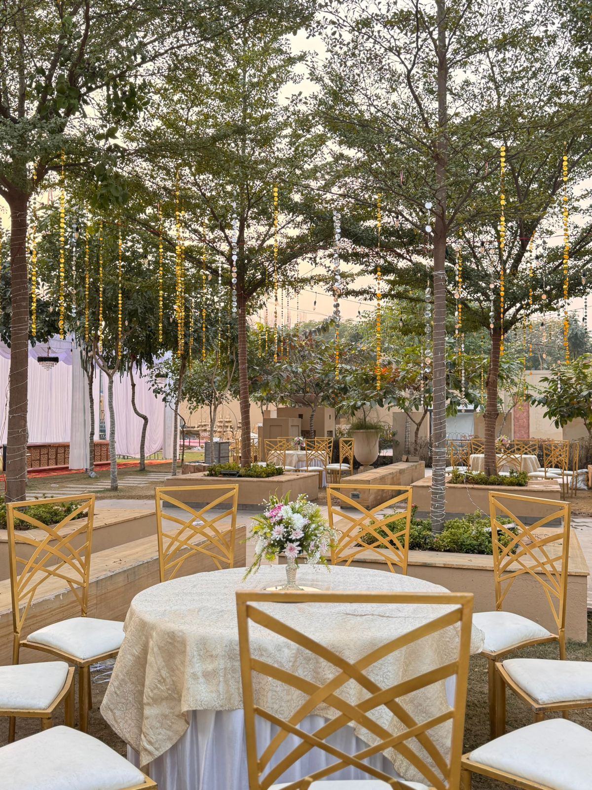 The Oasis Club, Lucknow — photo 8