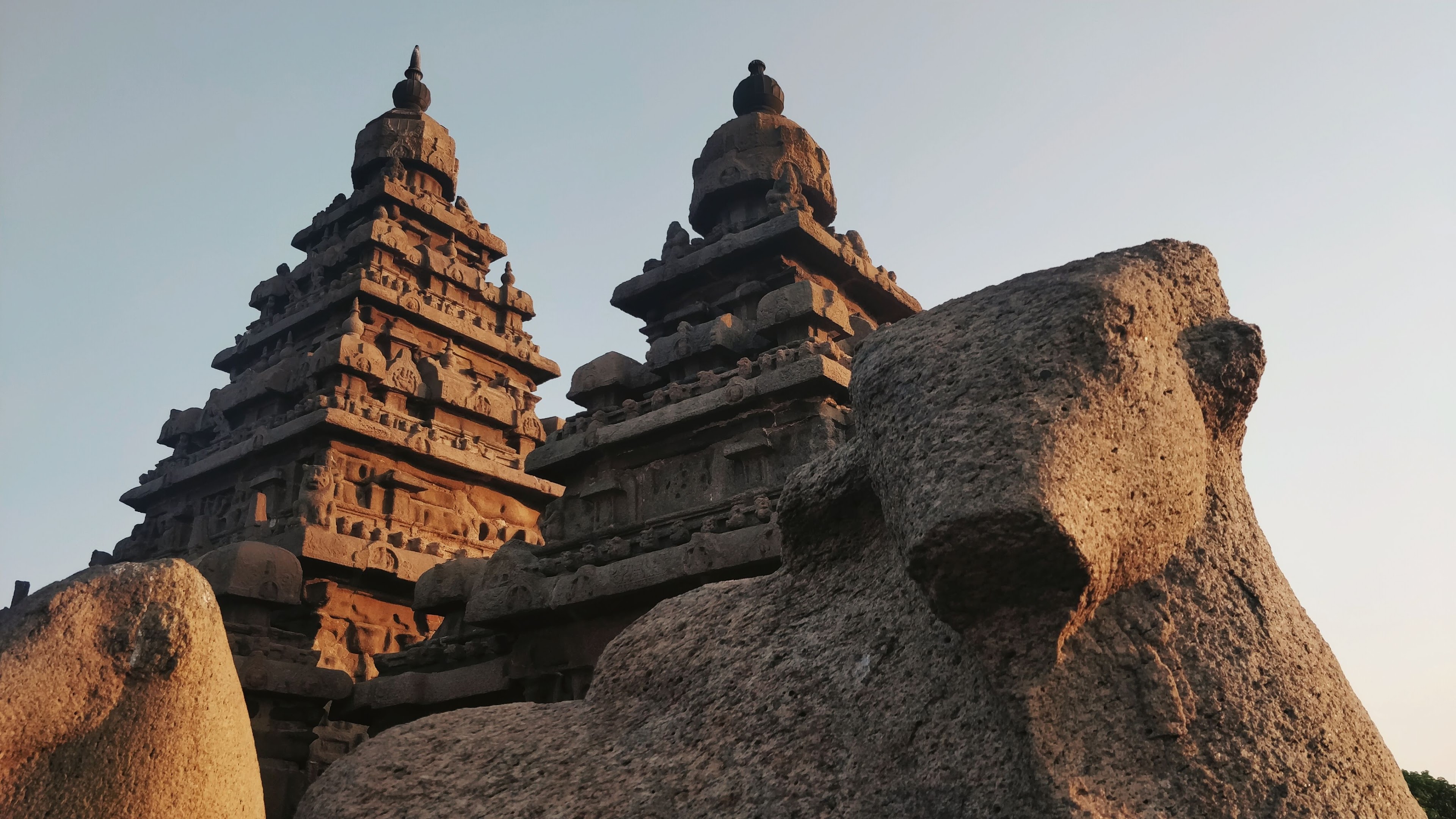 RADISSON BLU RESORT TEMPLE BAY-MAMALLAPURAM, Mahabalipuram — photo 5