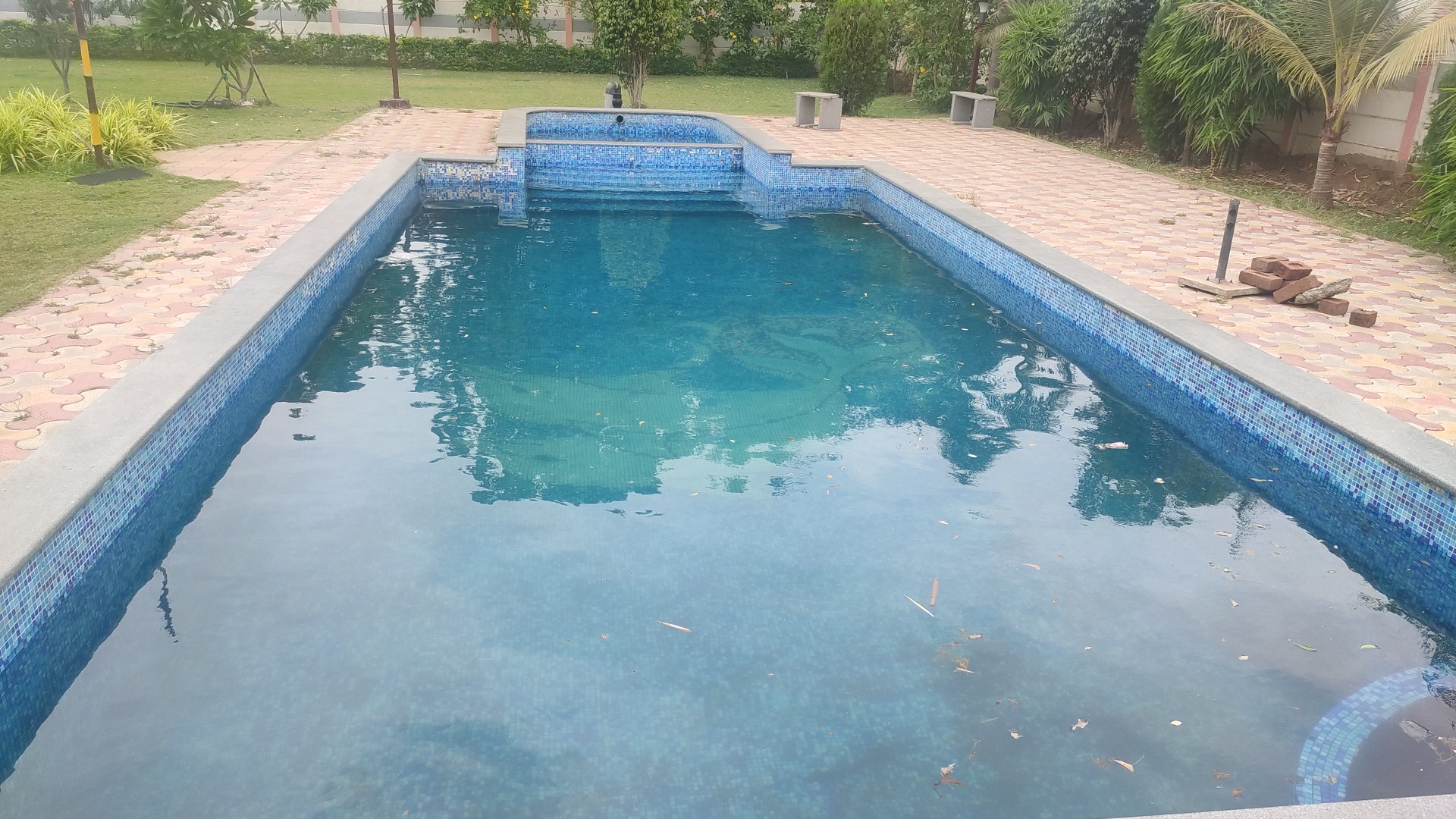 Tarasuns - Vadodara, Vadodara — photo 3