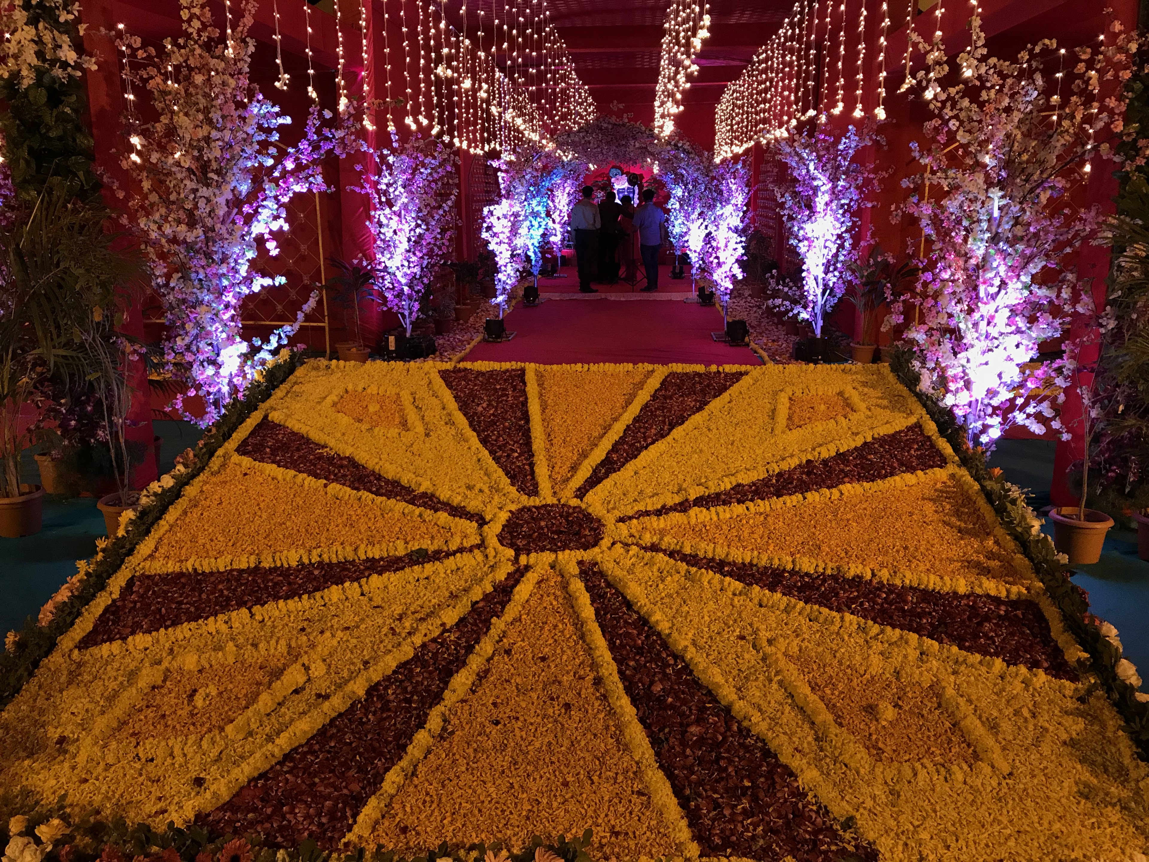 Tulsi Avenue (More Than A Party Plot), Jamnagar — photo 8