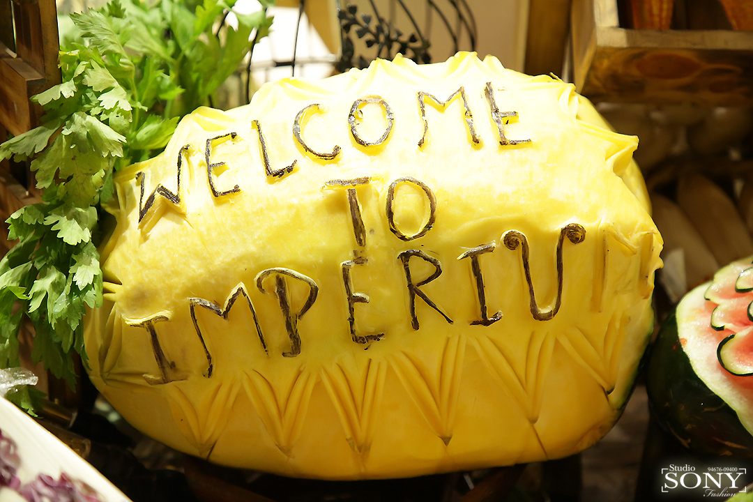 Imperium Resorts, Hisar — photo 8