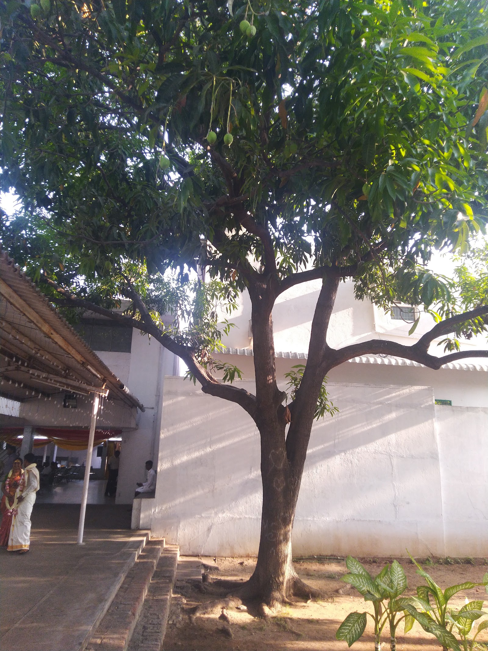 Deiveegam Kalyana Mandapam, Salem — photo 10