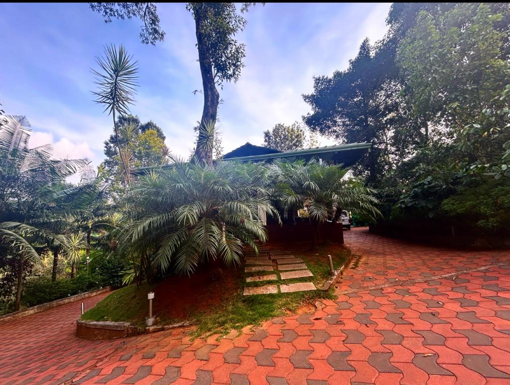 Jungle Hill Resort, Coorg, Madikeri — photo 8