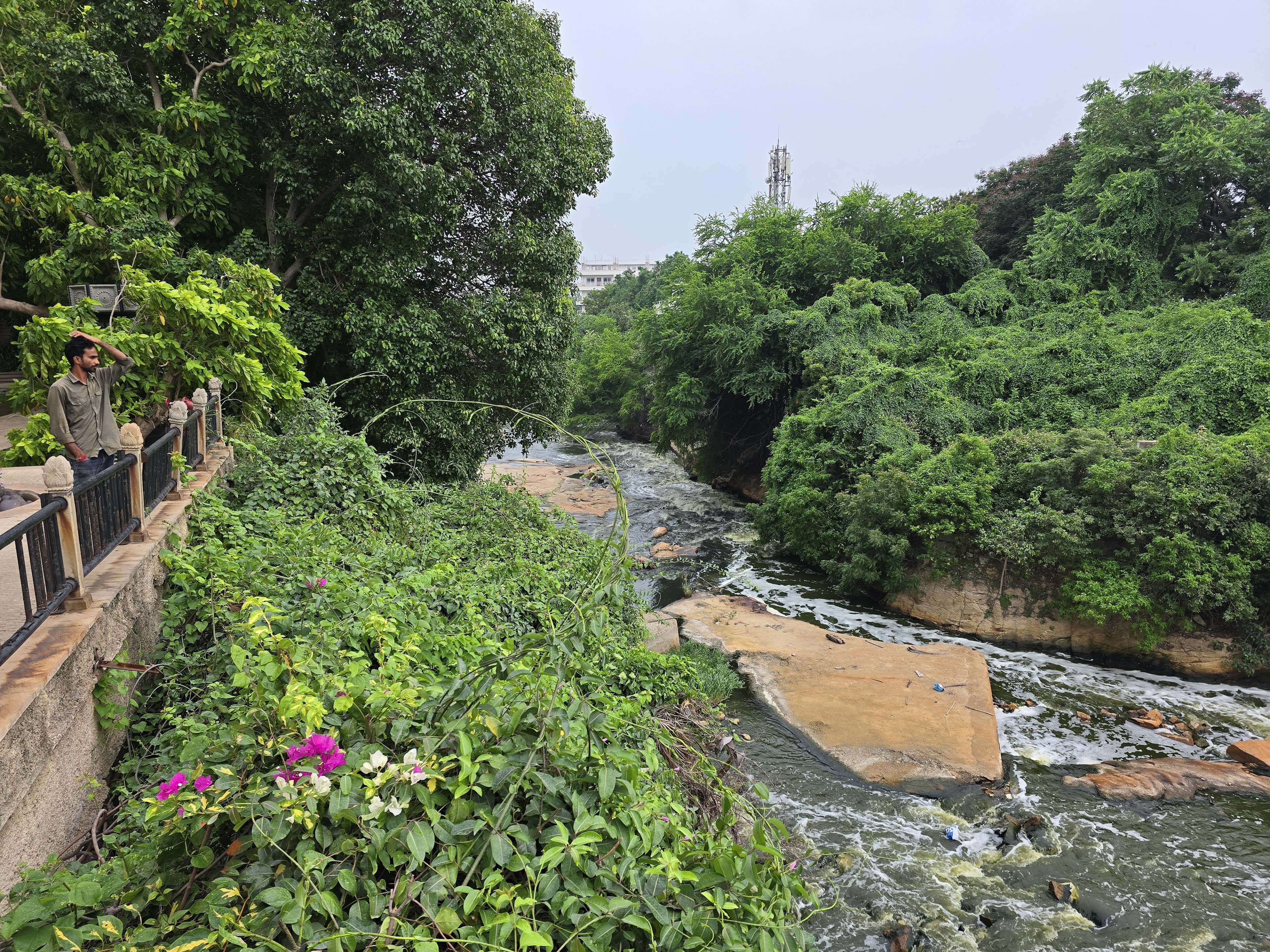 TAJ KRISHNA, Hyderabad — photo 5