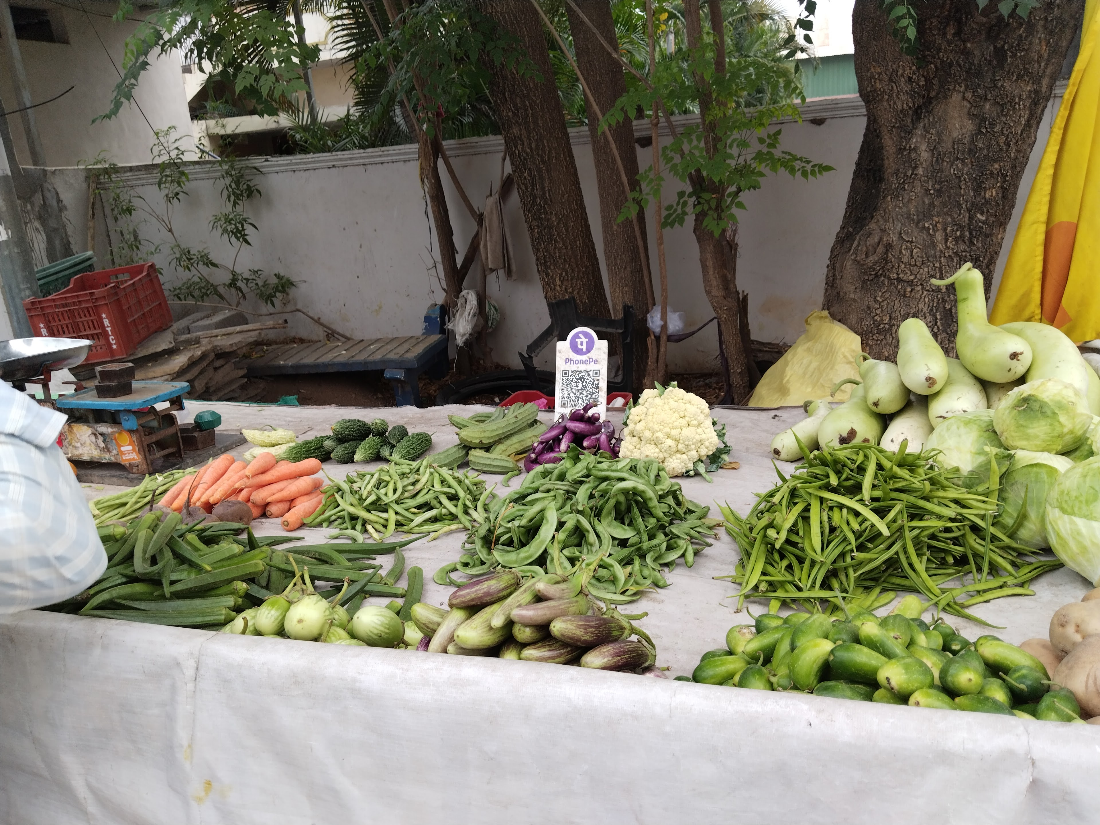 E.N. Gardens A/C, Karimnagar — photo 10