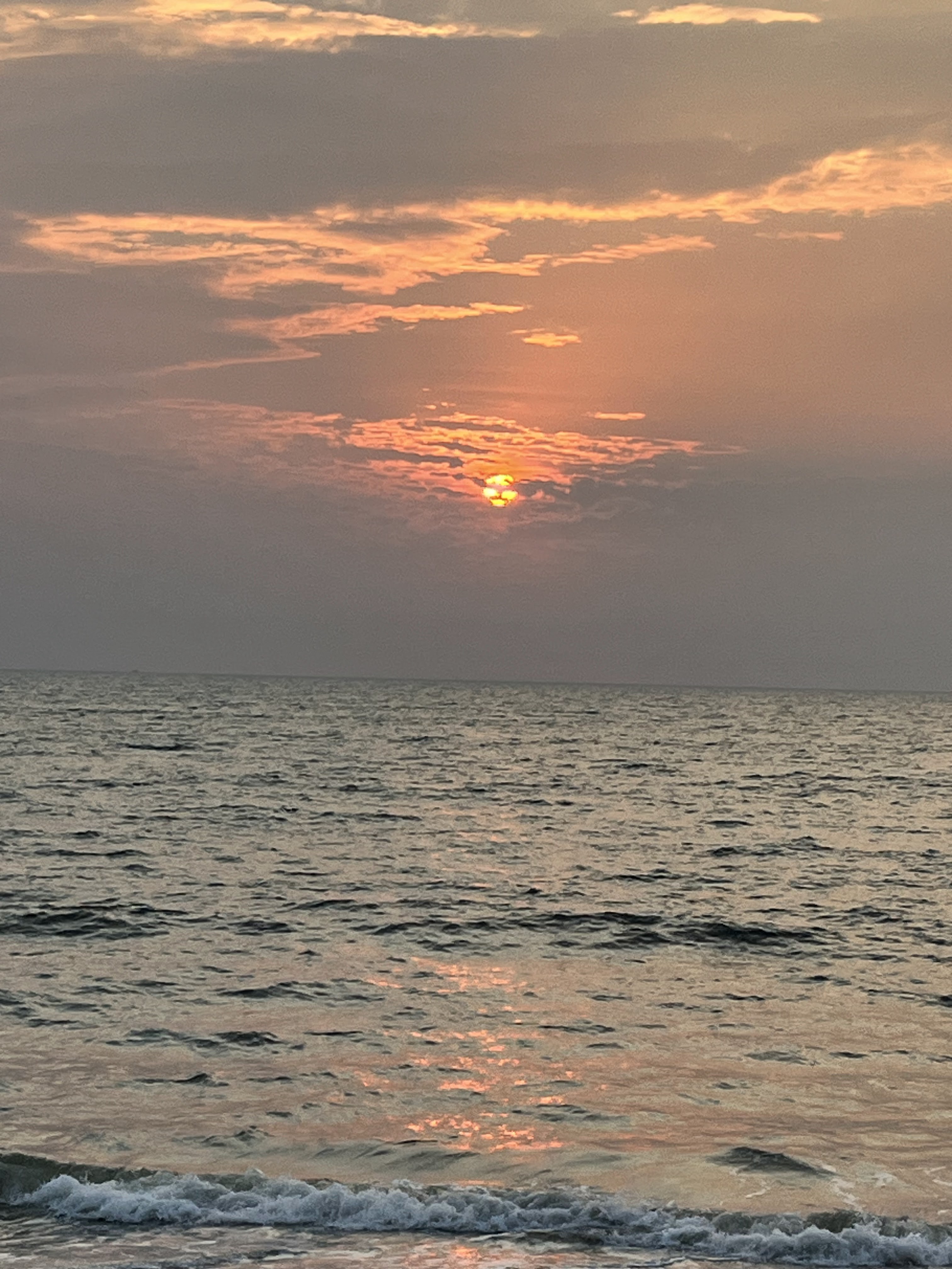 Lemon Dew Beach House, Alappuzha — photo 5
