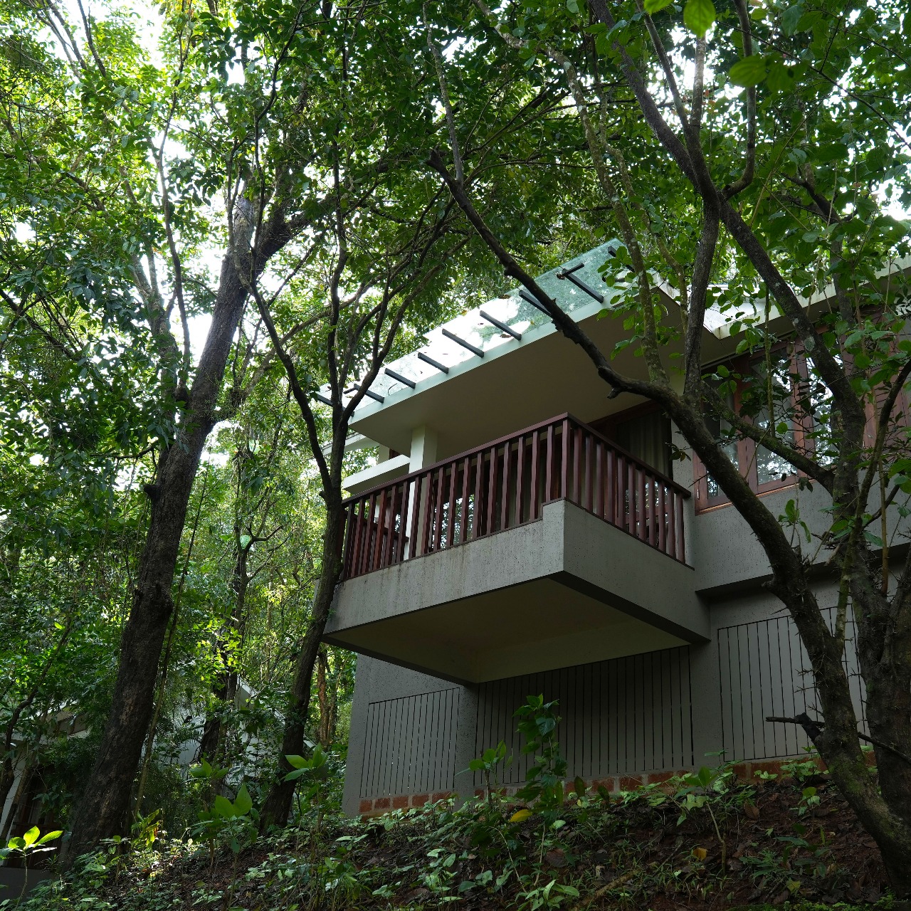 Wayanad Silverwoods Resorts, Kalpetta — photo 9