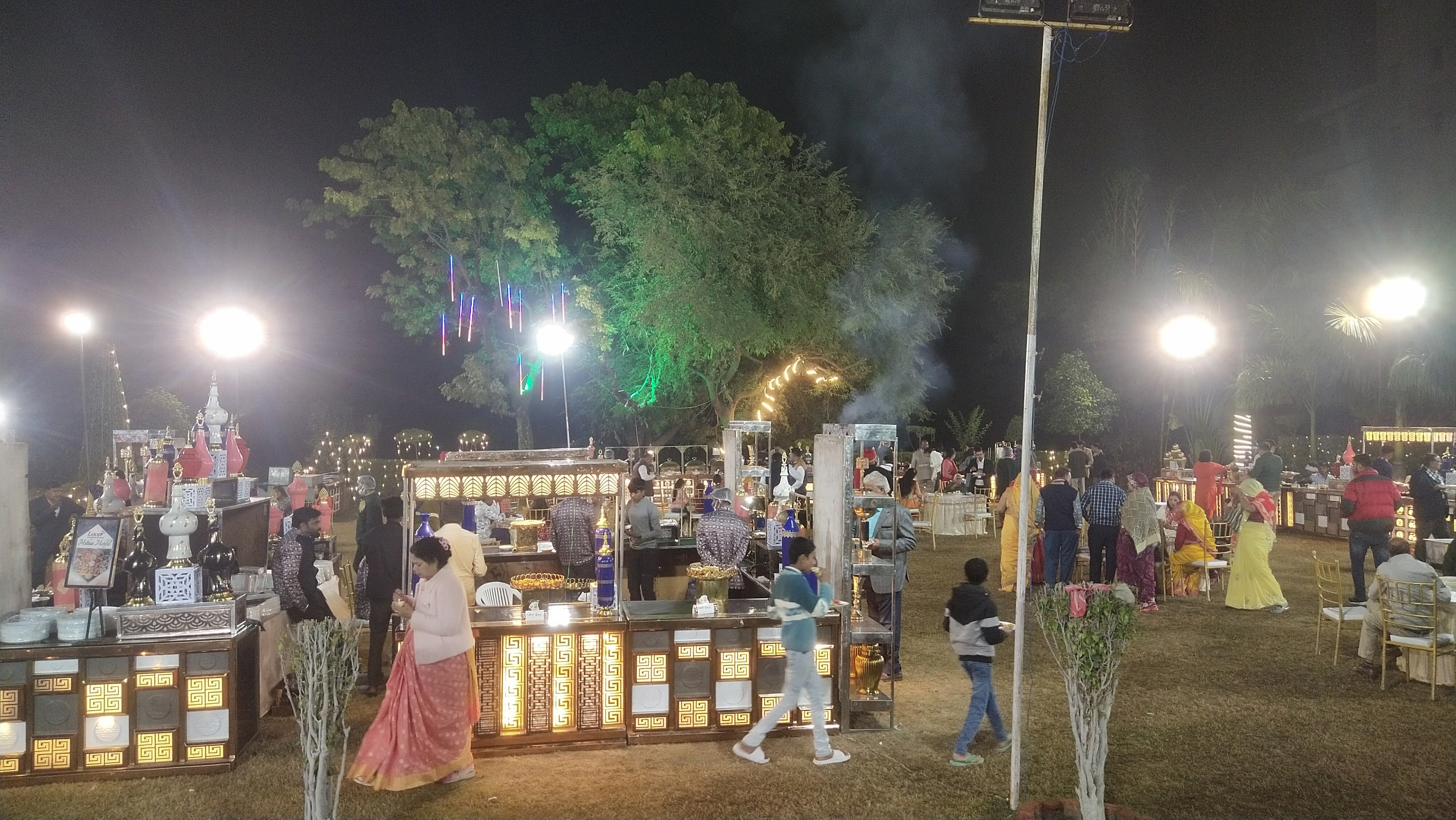 Shree Narayan Farms, Udaipur — photo 3