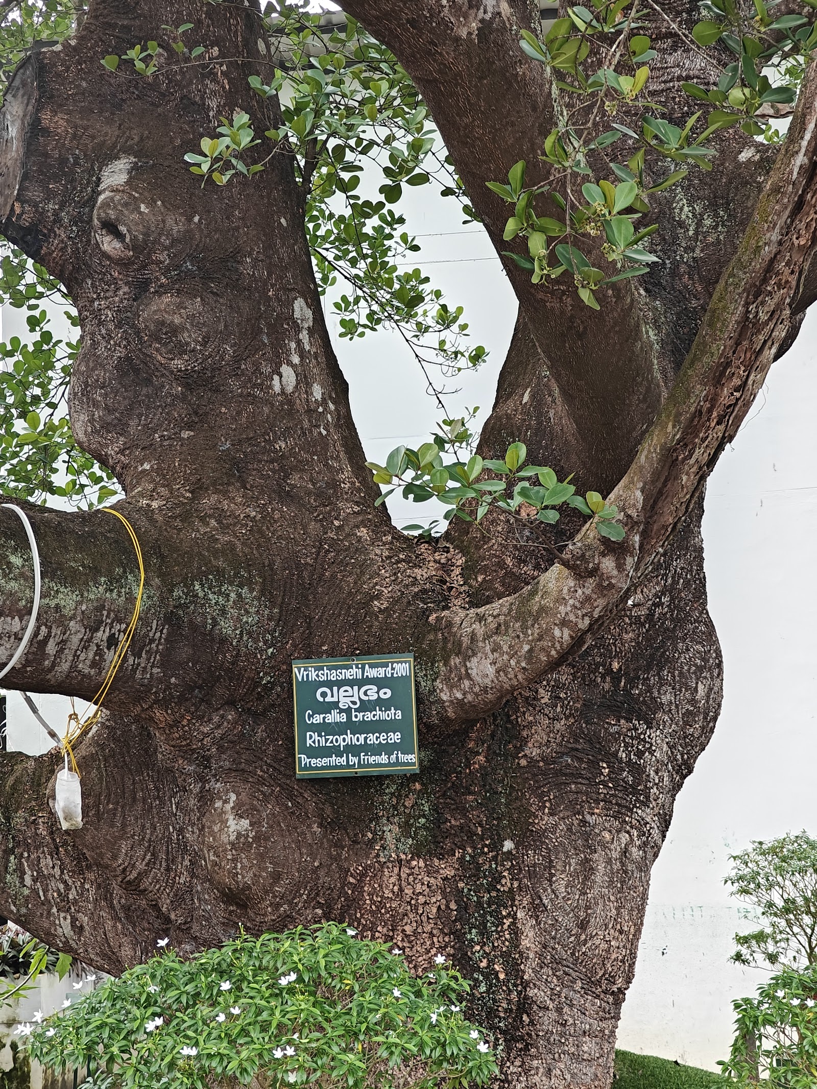 Trivandrum Club, Thiruvananthapuram — photo 10