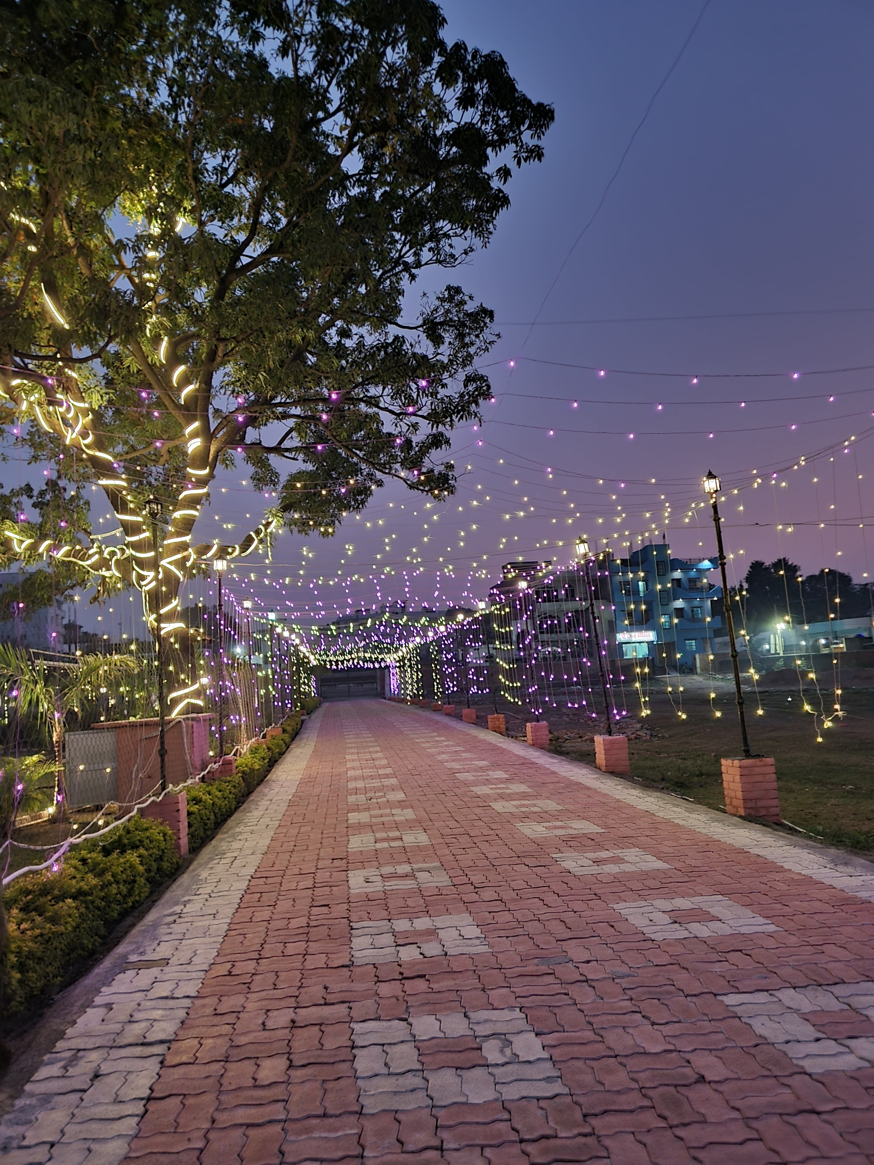 Bageecha, The Party Lawn, Gaya — photo 9