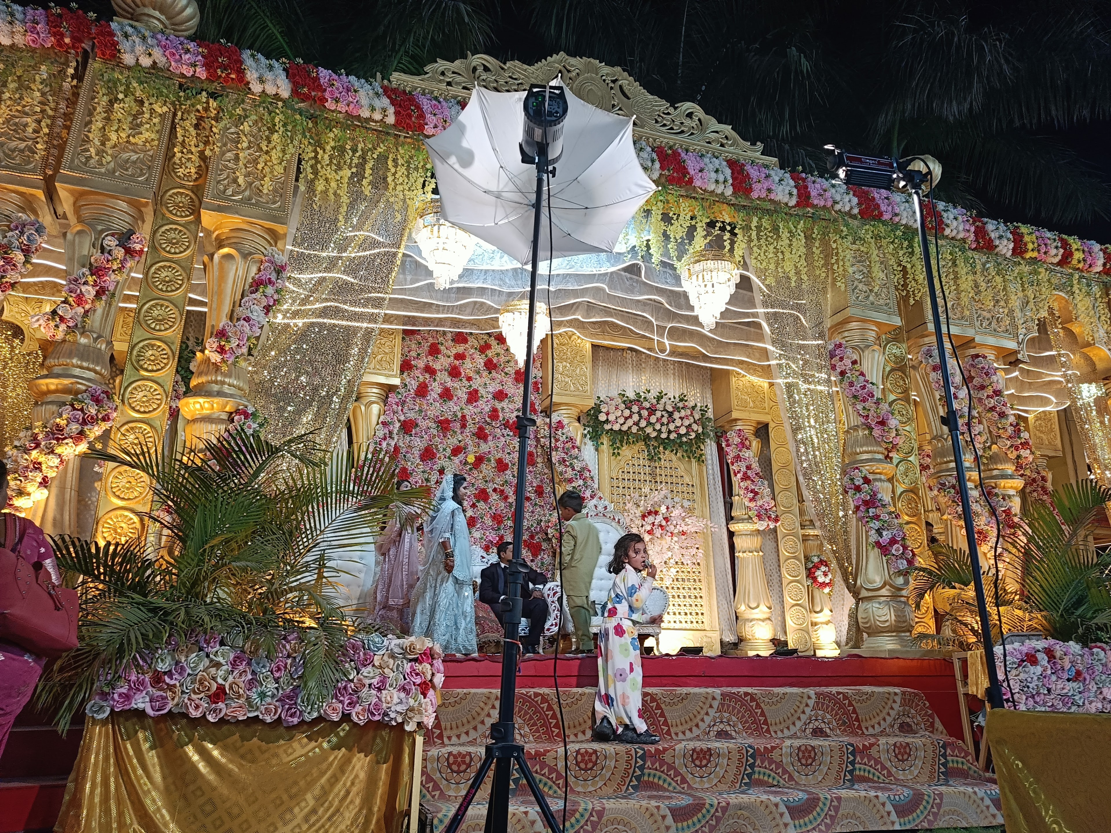 Aamra Shri Marriage Garden, Bhopal — photo 6