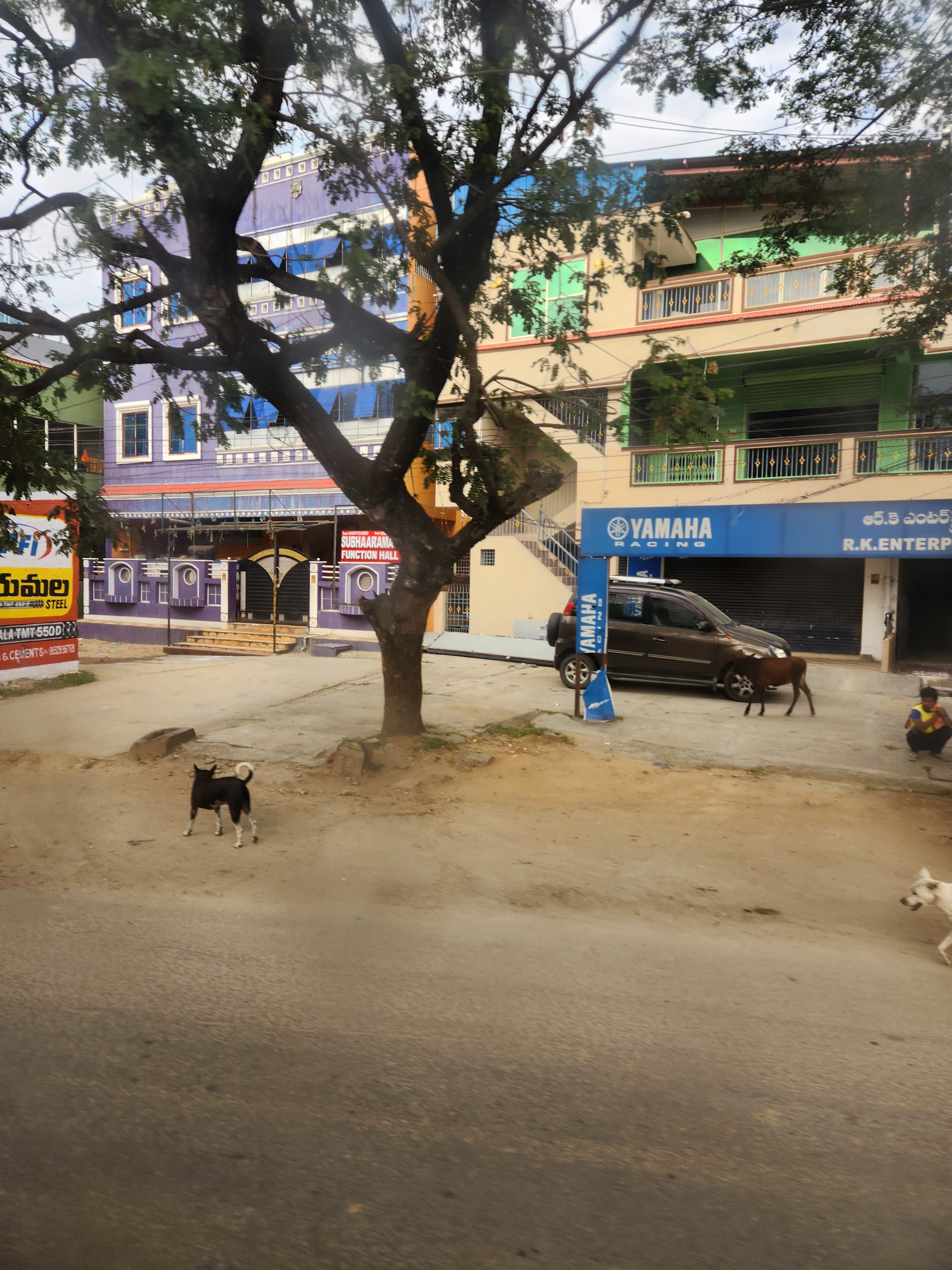 Subbhaaramam halls, Chittoor — photo 10