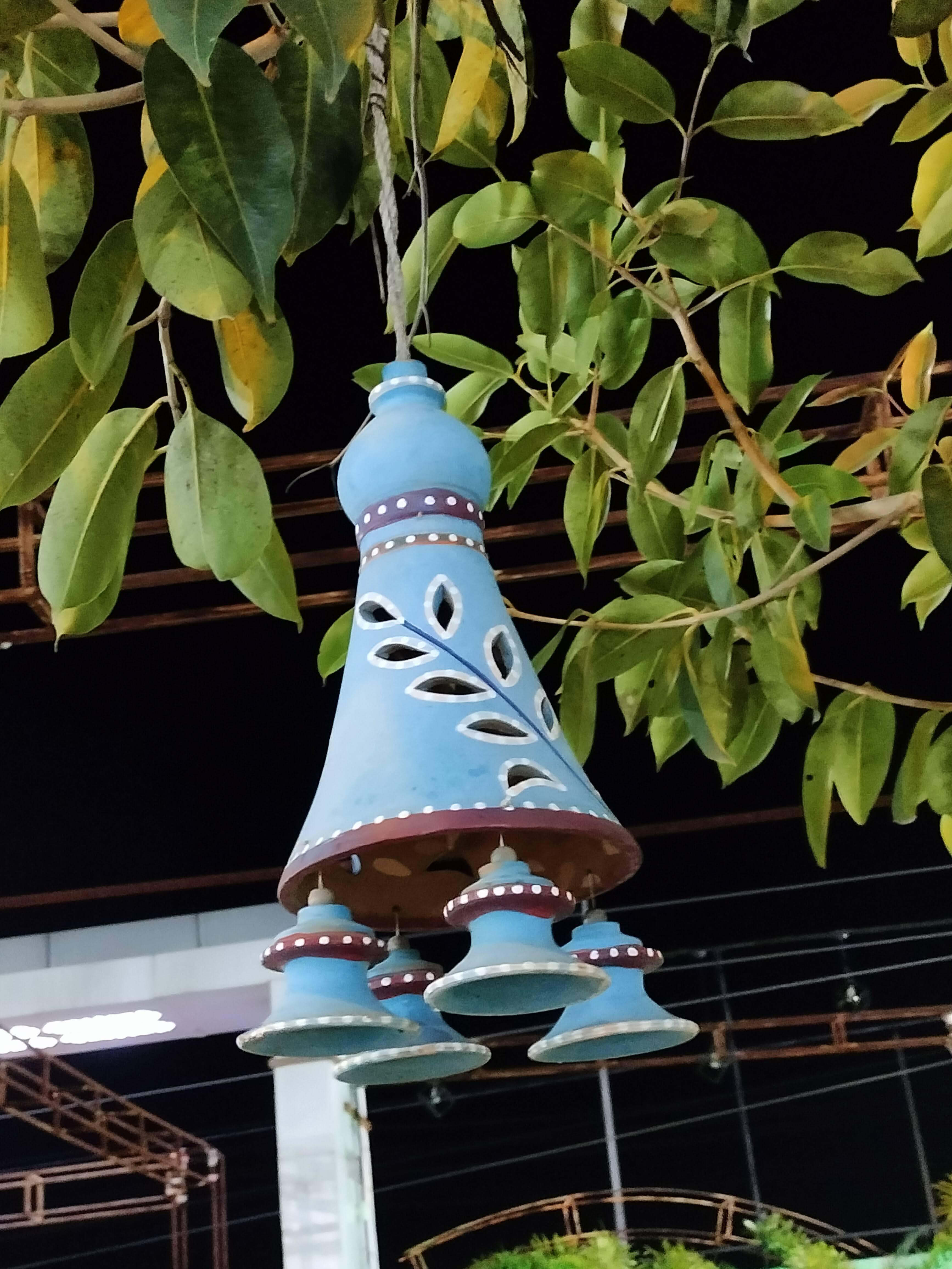 King's Orchid, Bhopal — photo 6