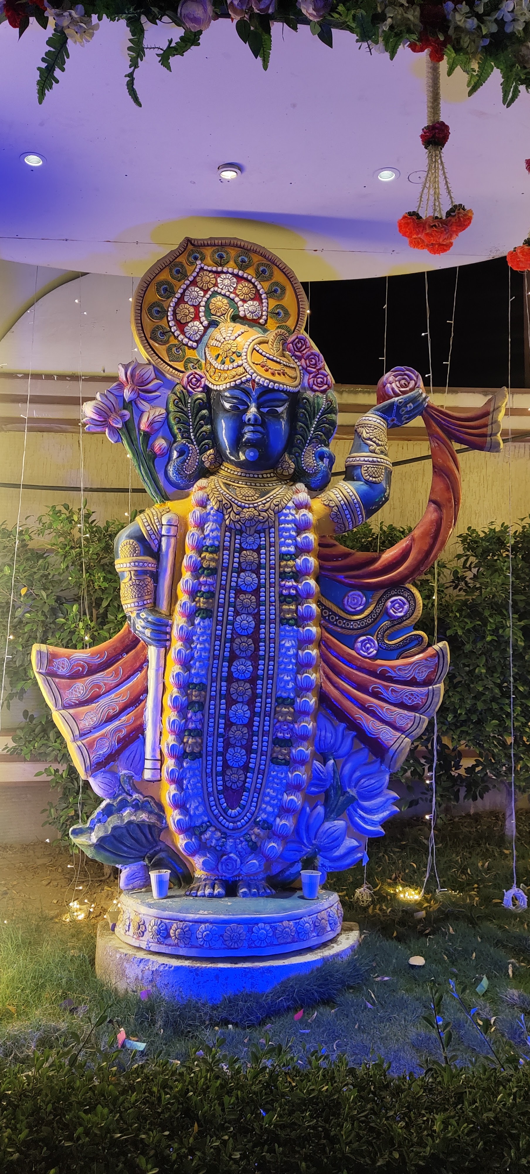 Hans Paradise Garden - Top Marriage Garden, Banquet Hall, Conference Hall, Wedding Place, Ajmer — photo 9