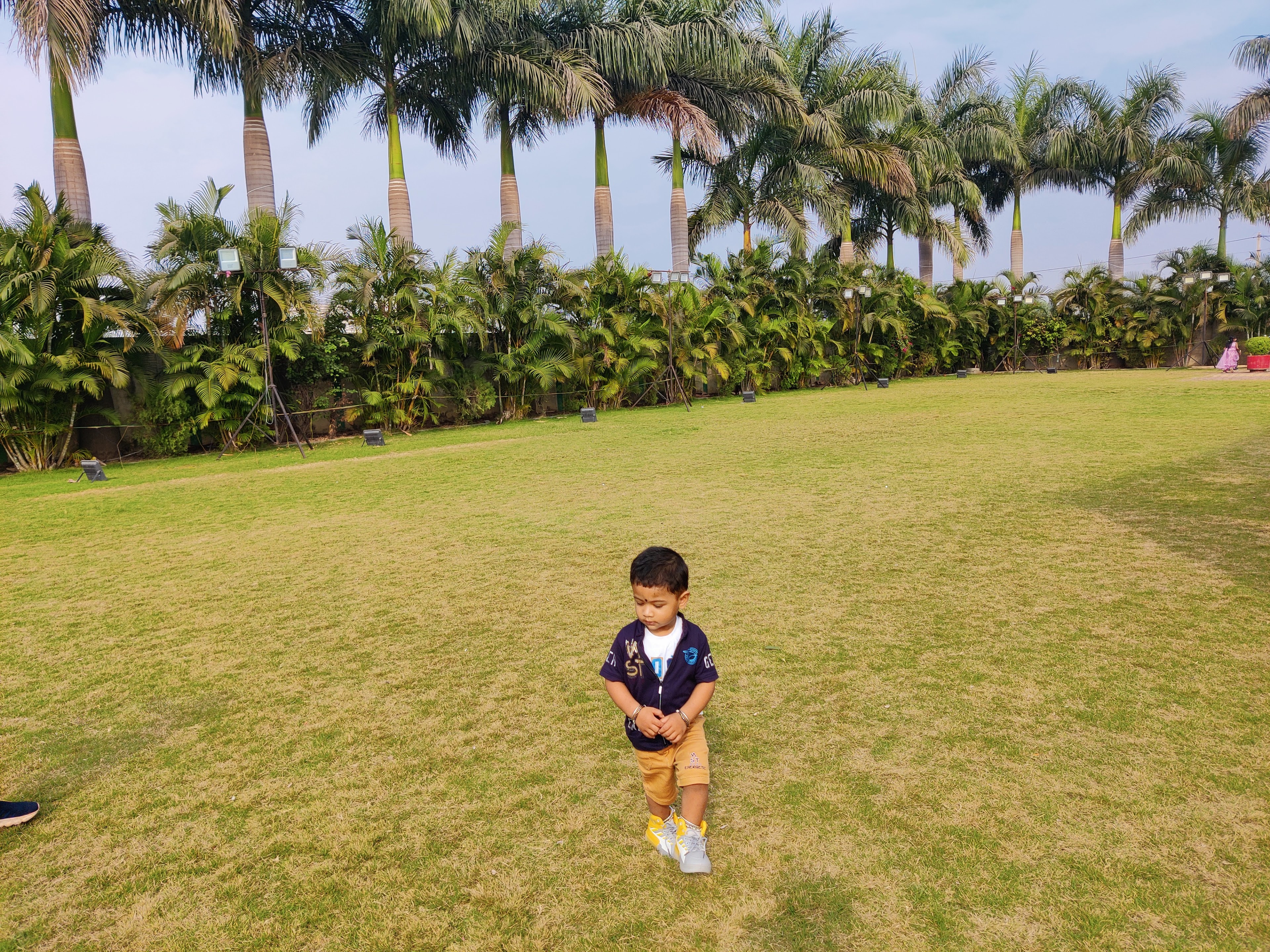 Celebration Palace, Bhilai — photo 3