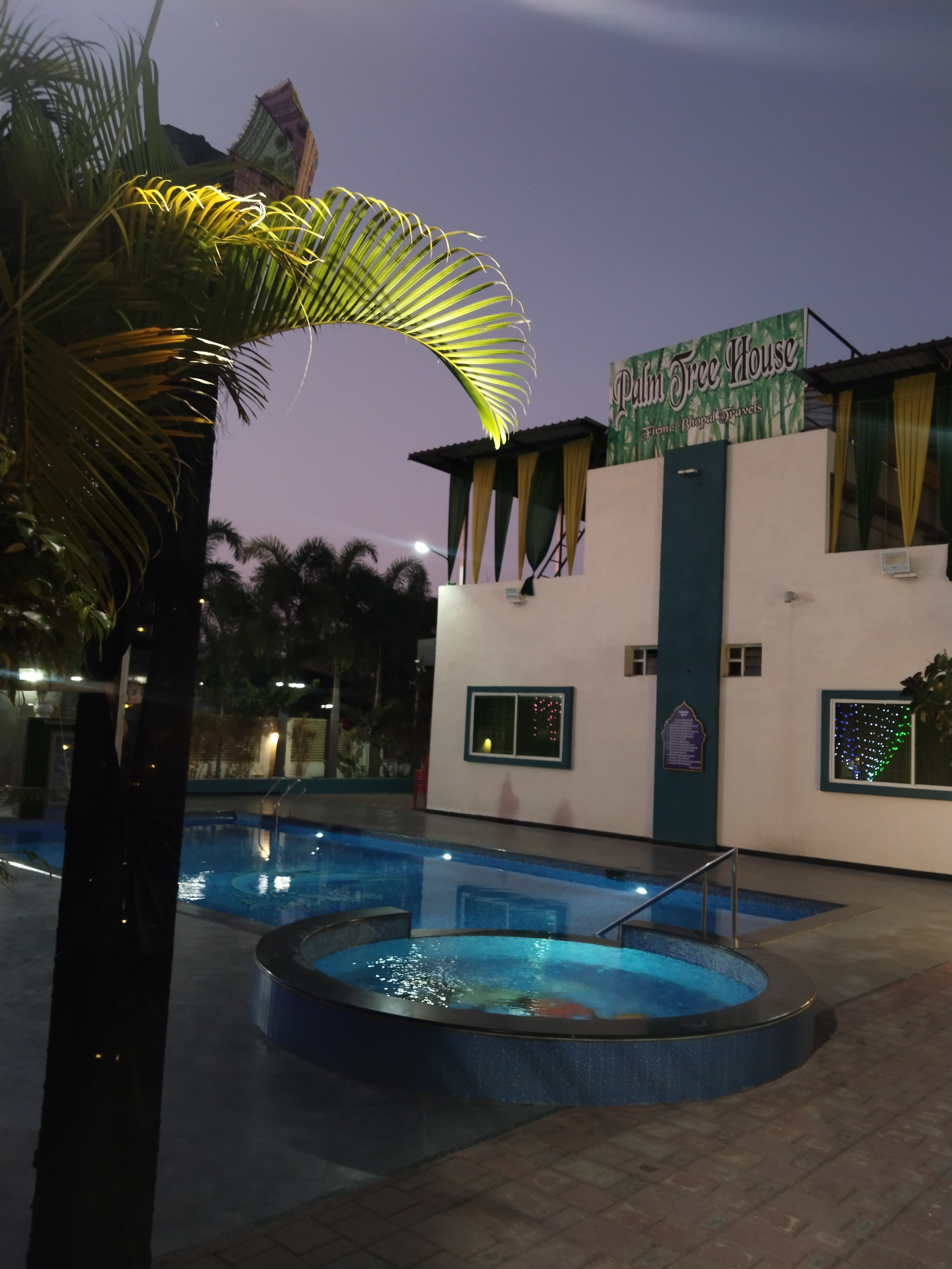 Palm tree house, Bhopal — photo 8