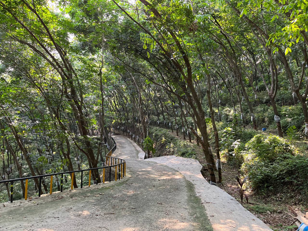 Era Nature Resort, Malappuram — photo 5