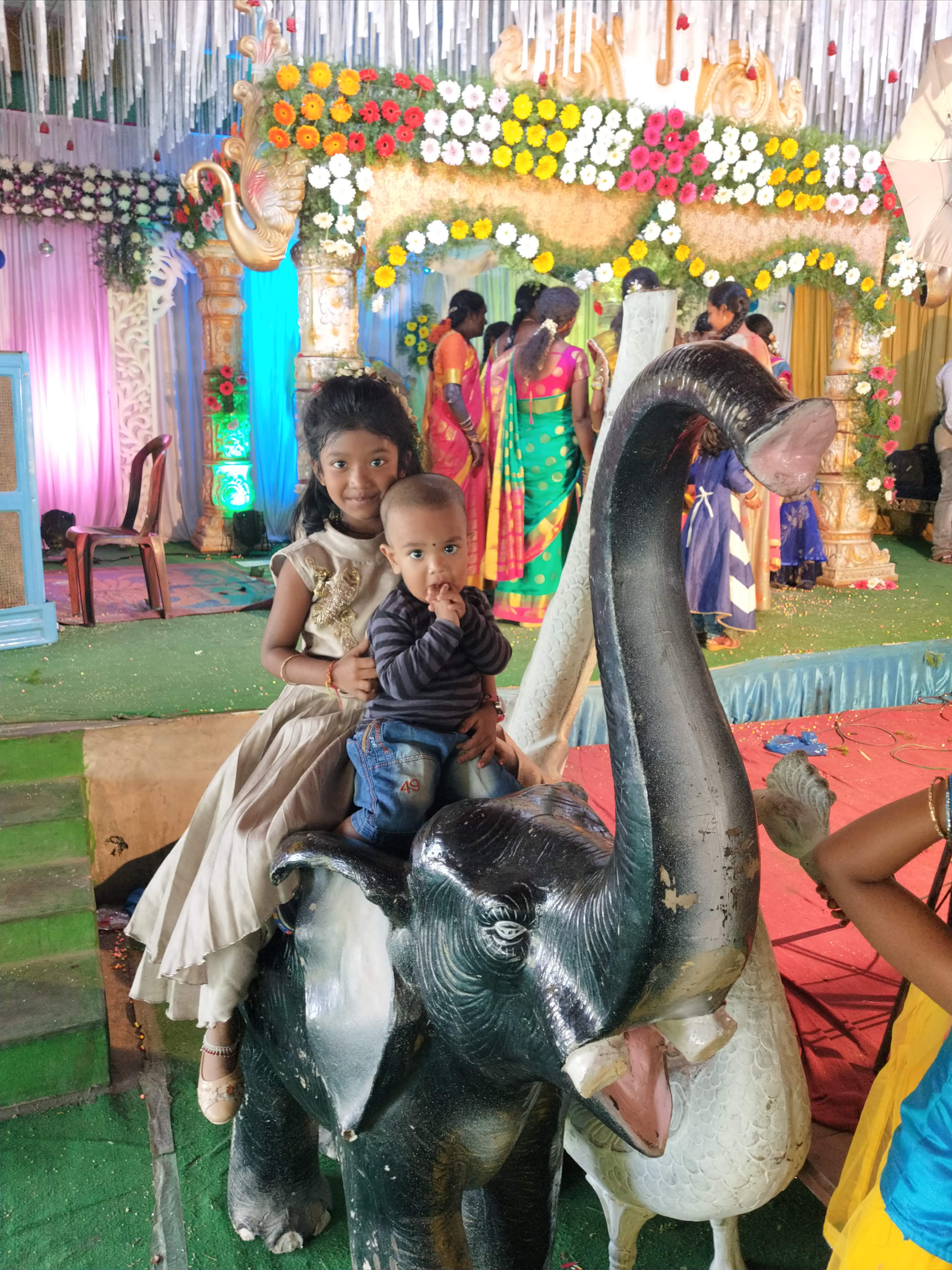 Amrutha Raj Function Palace - Godavarikhani City, Ramagundam — photo 7