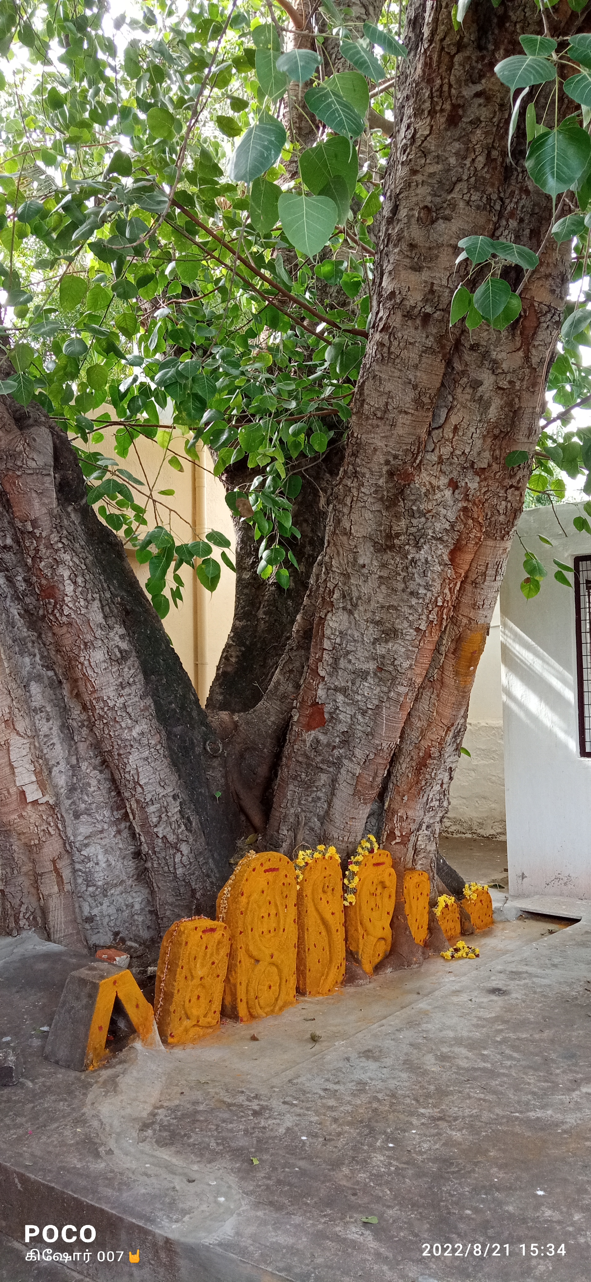 Vasavi Mahal, Dharmapuri, Tamilnadu, Dharmapuri — photo 9