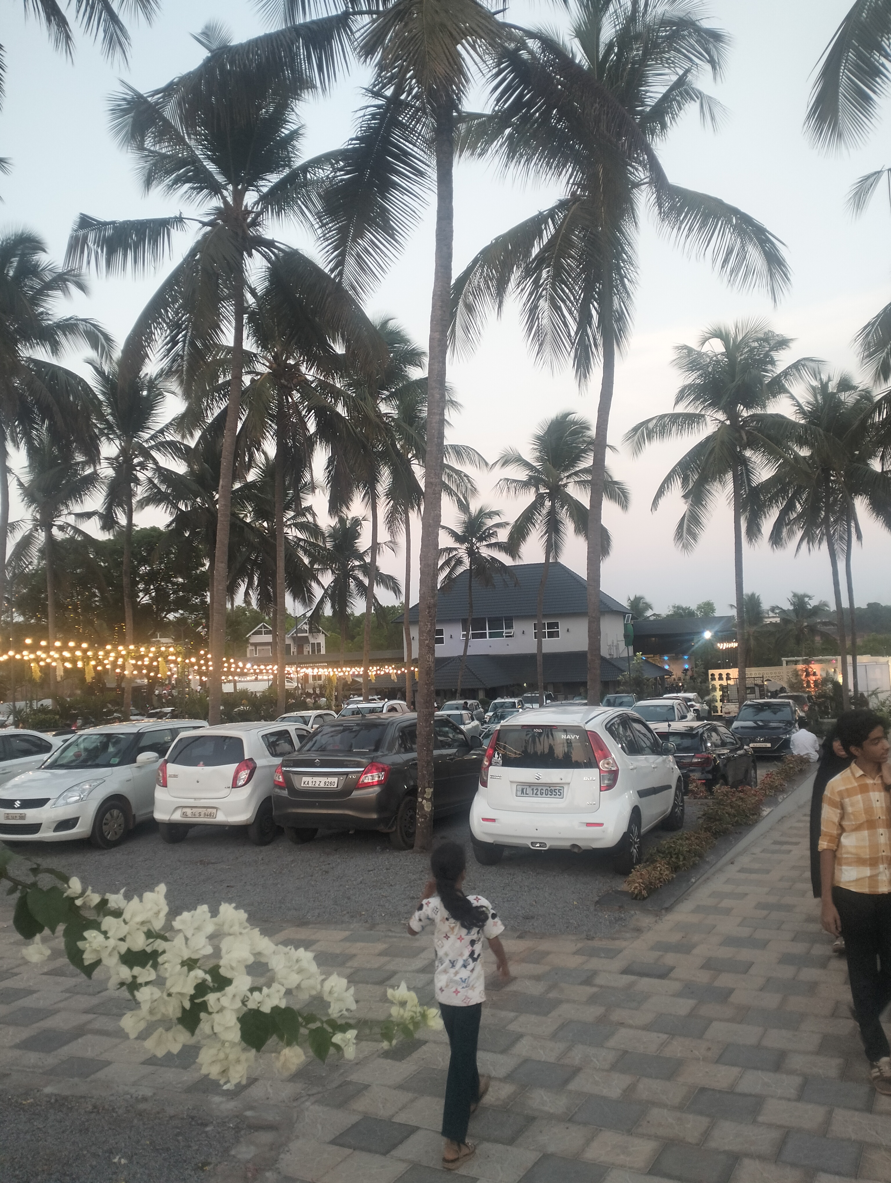 THE FLORA BY SUNFLOWER, Kasaragod — photo 3
