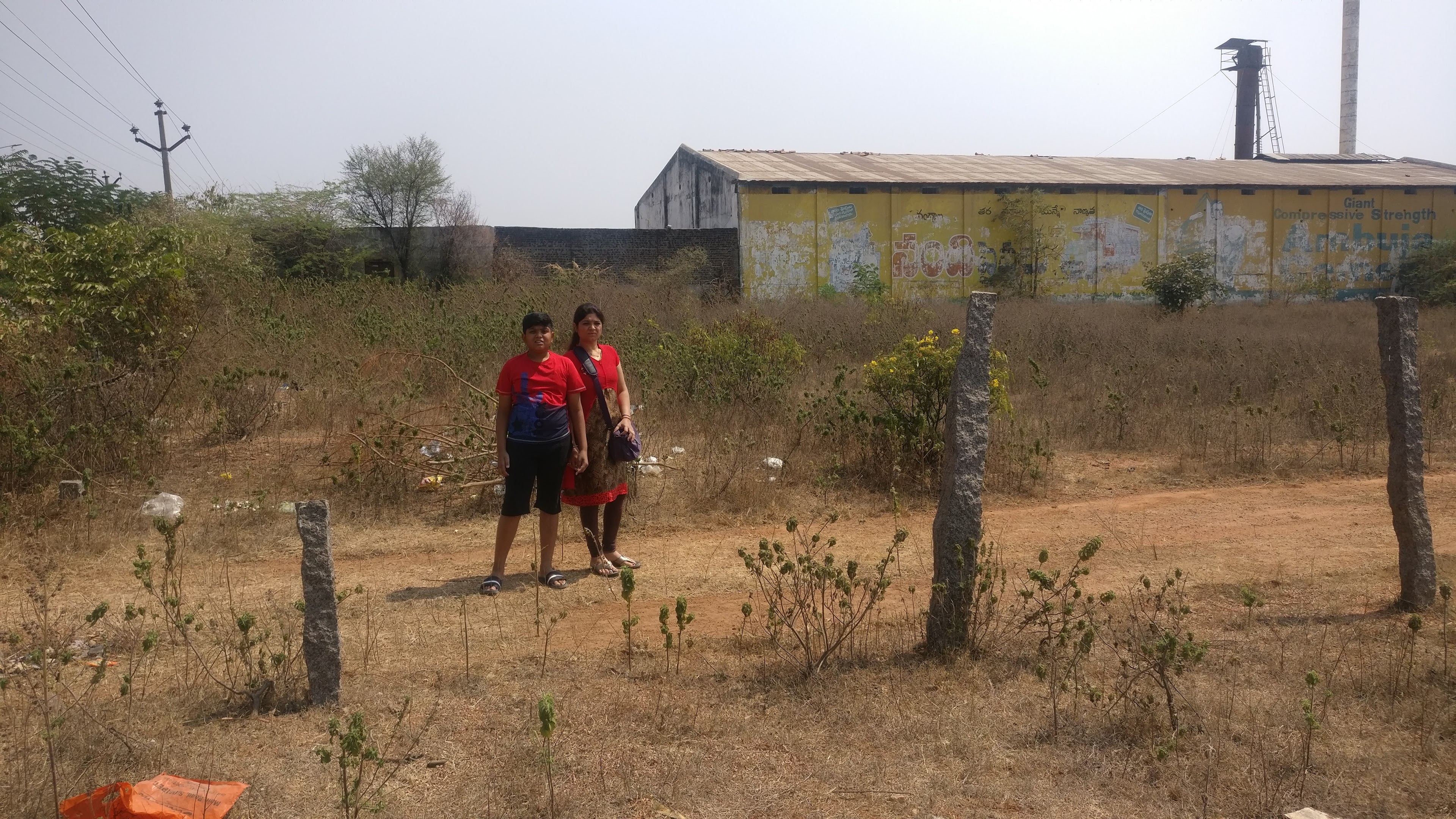 Viola Gardens, Siddipet — photo 2