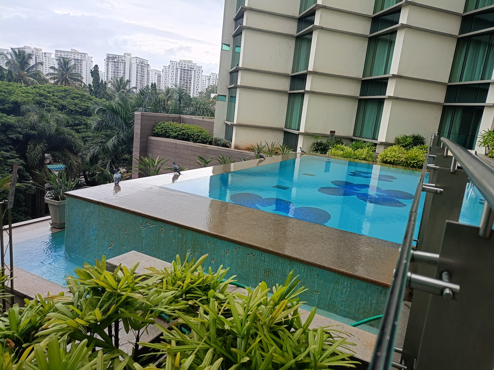 The Zuri Whitefield, Bengaluru, Bengaluru — photo 9