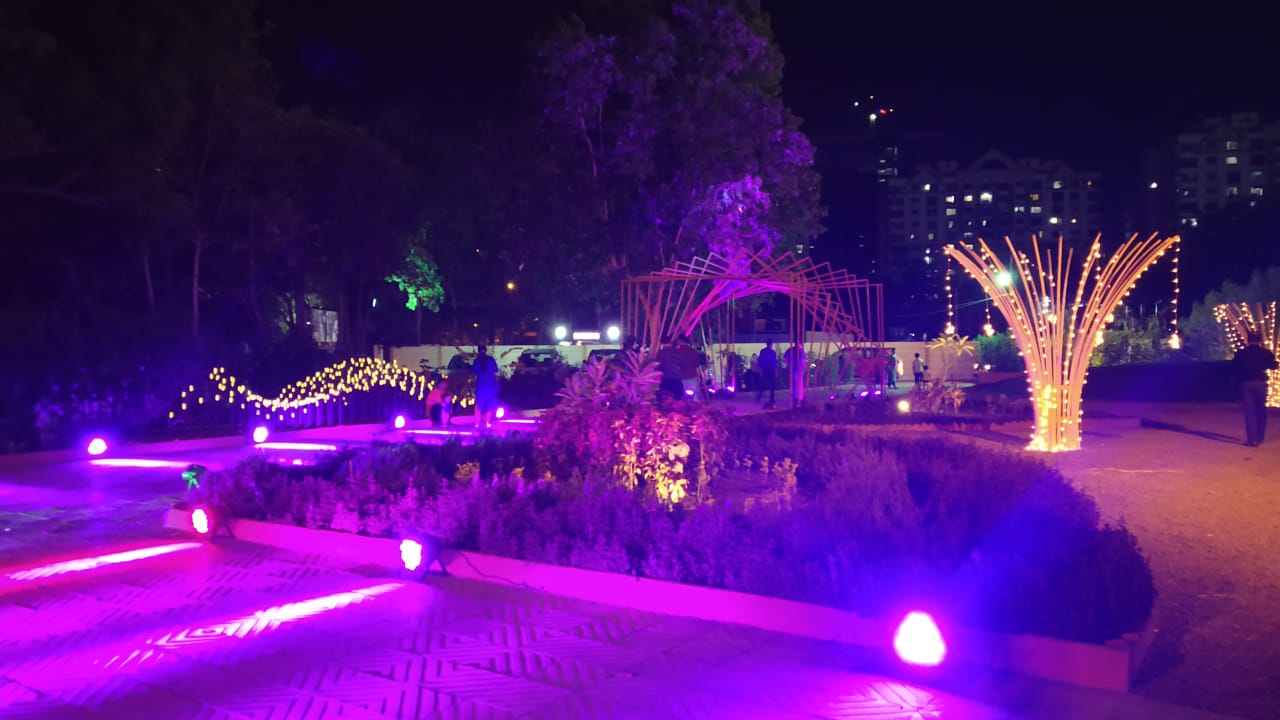 Purple Orchids, Surat — photo 3