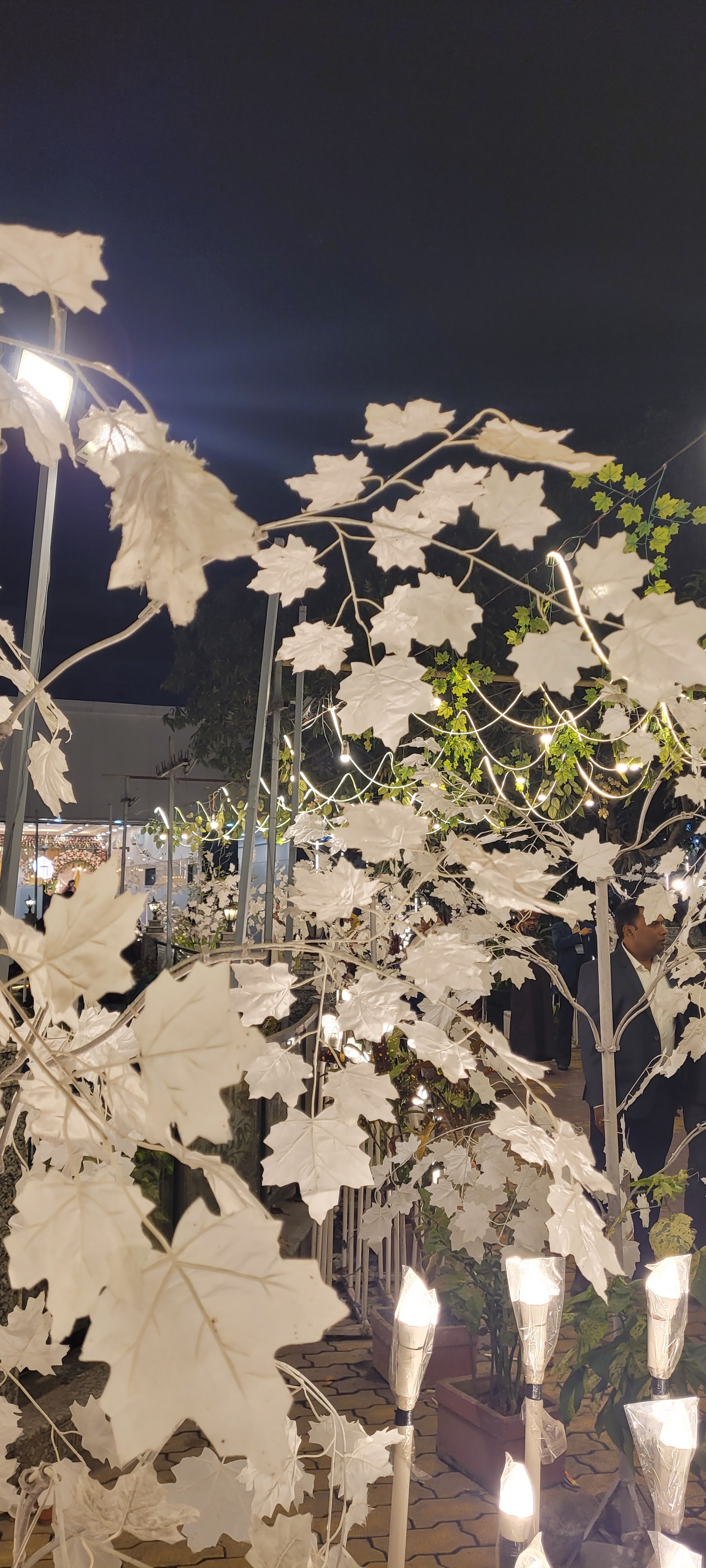 Madina Garden, Jamshedpur — photo 10