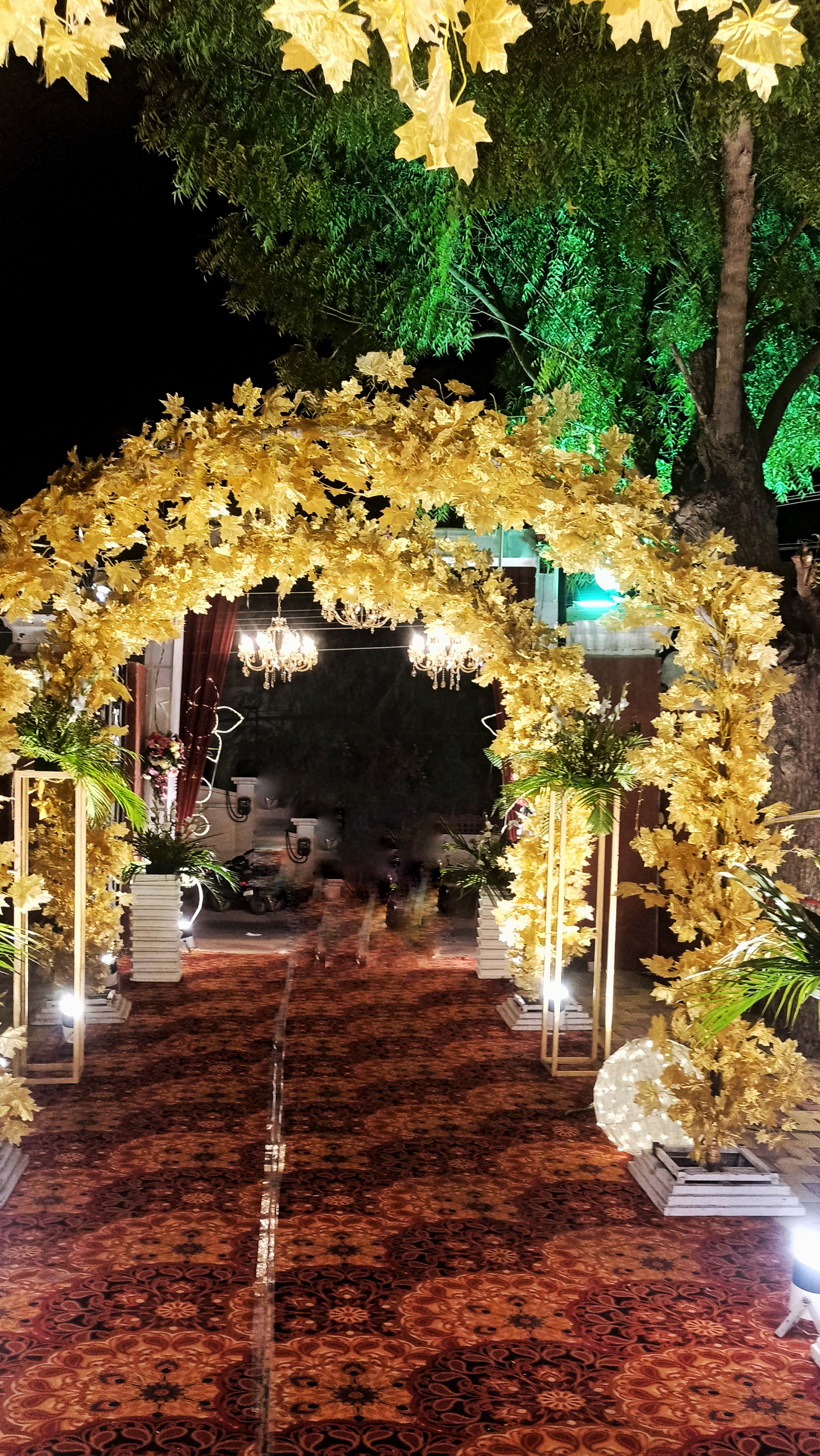 KAPILDHARA BANQUET AND MARRIAGE GARDEN, Bikaner — photo 10