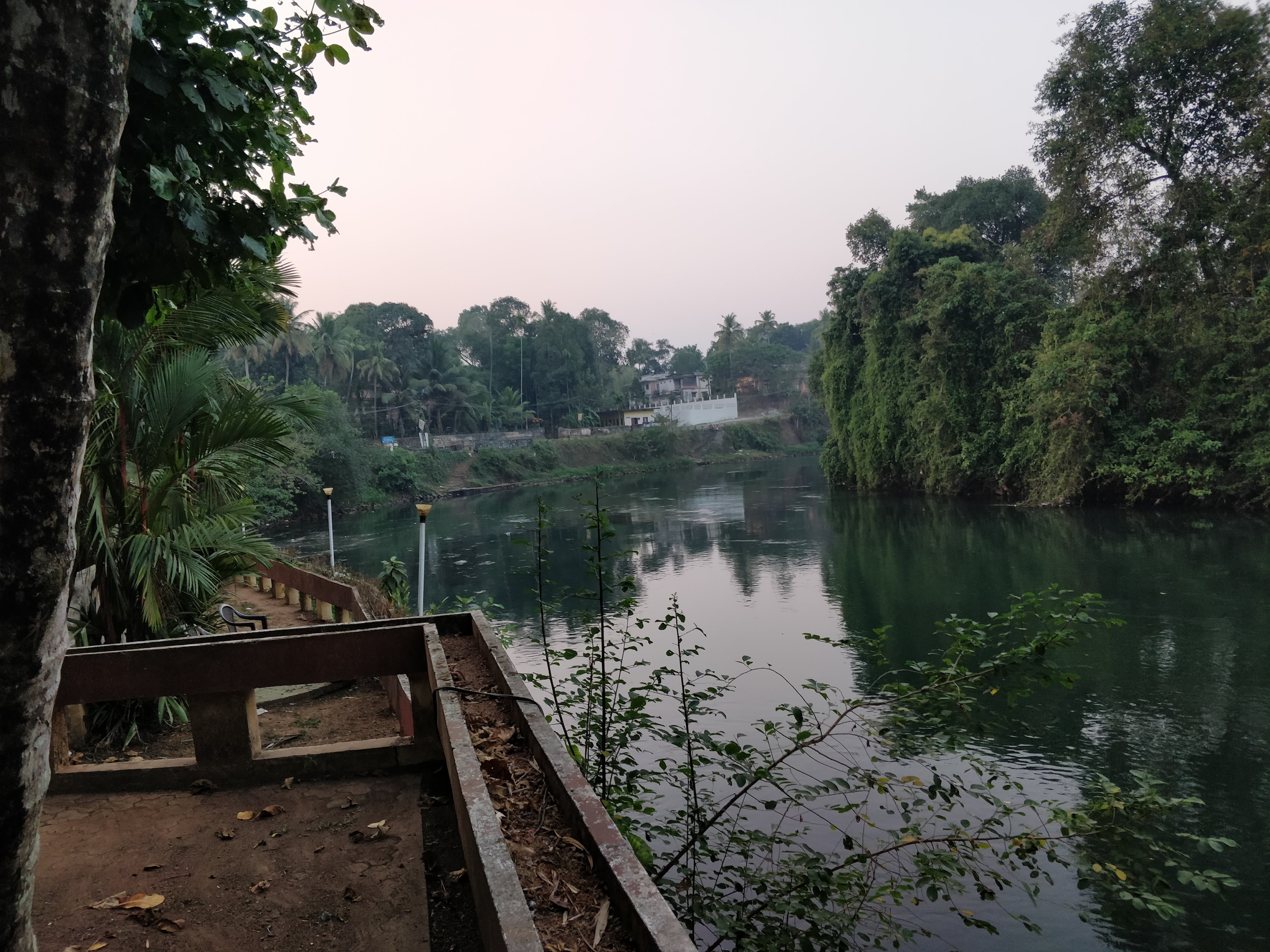 Pappootty Hall, Thodupuzha, Thodupuzha — photo 4