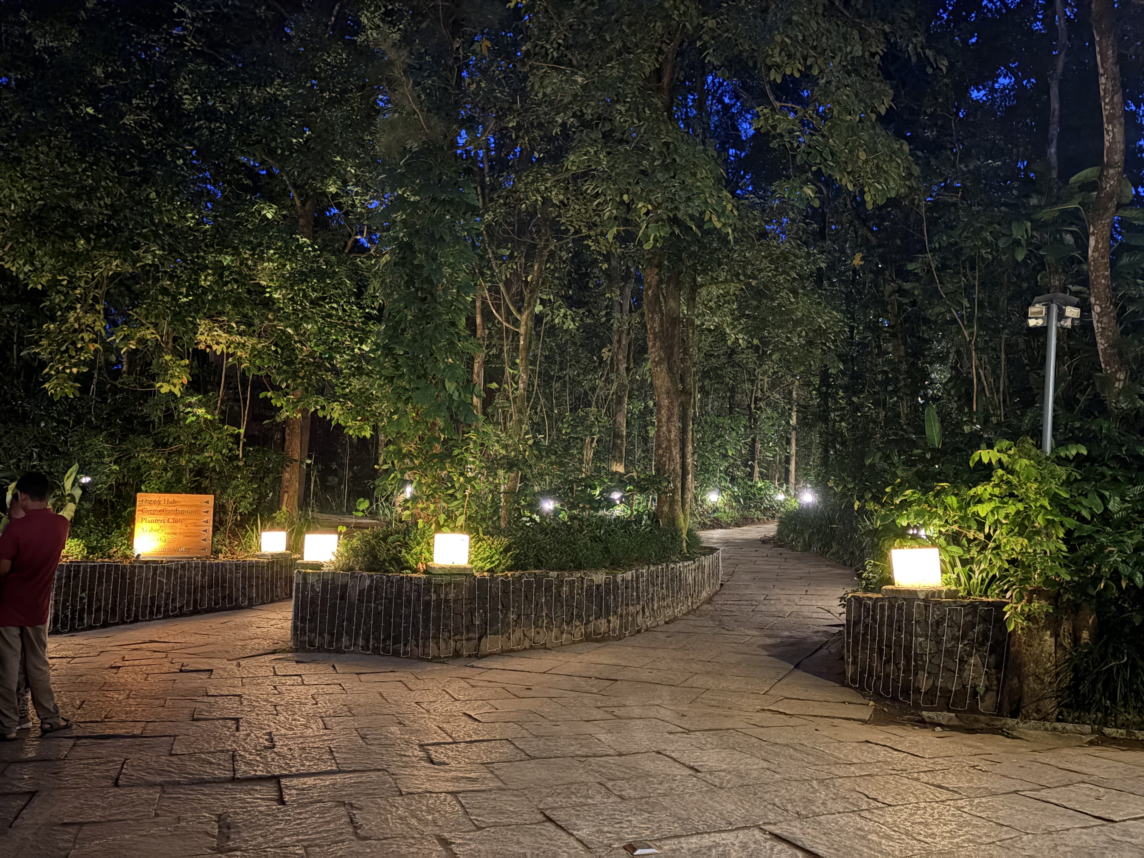 Club Mahindra Resort - Madikeri - Coorg, Karnataka, Madikeri — photo 4