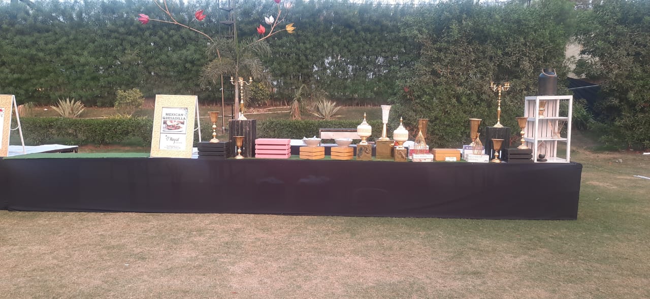 Grand Royal lawns and Banquet, Vadodara — photo 8