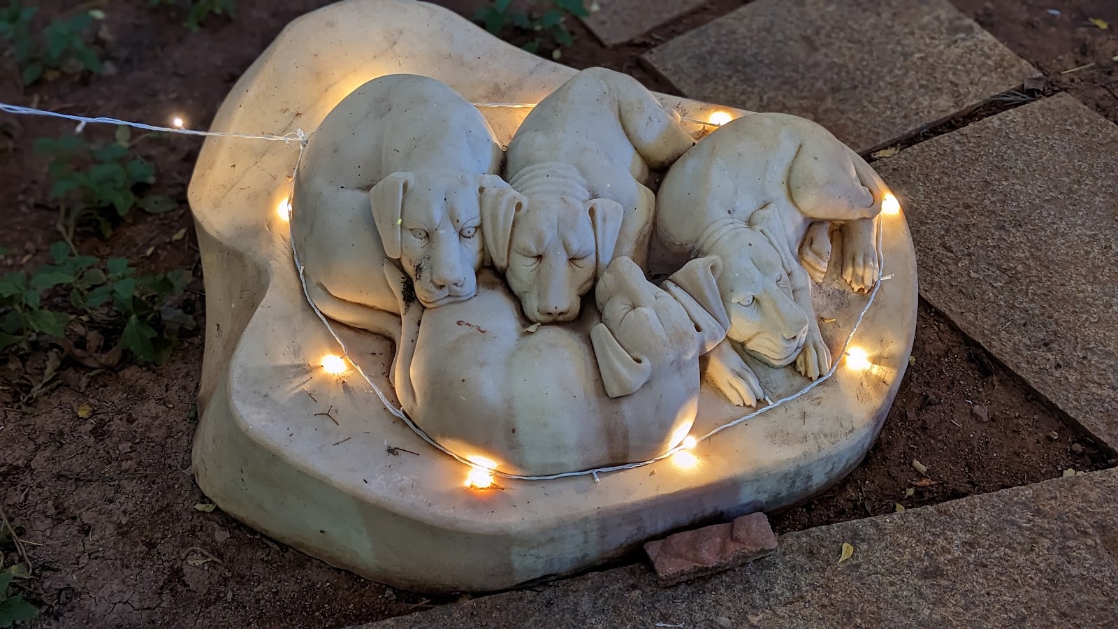 Villa Kasu, Bengaluru — photo 5