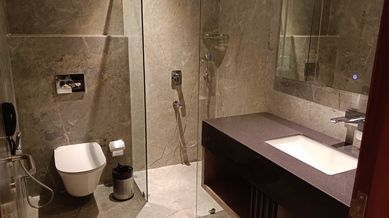 The Taj Palace, Hisar — photo 4