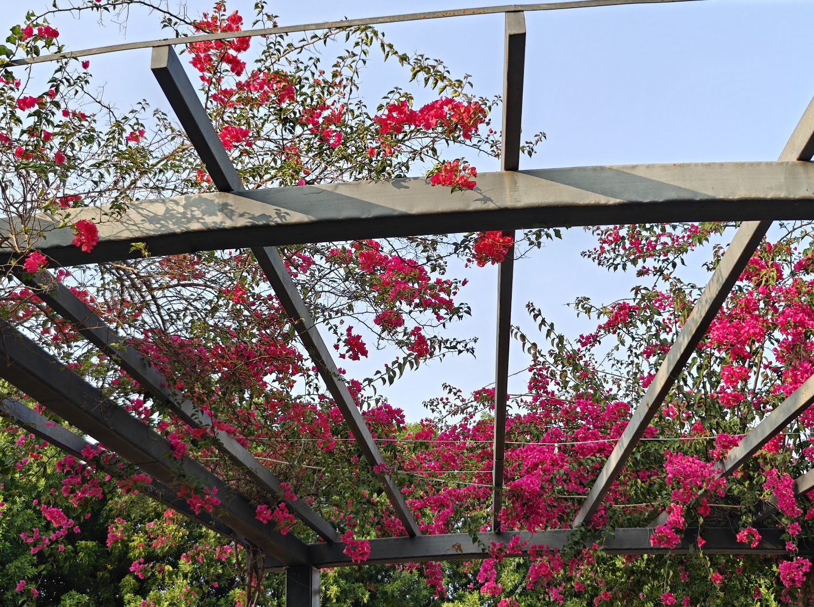 Santho Lawns, Puducherry — photo 7