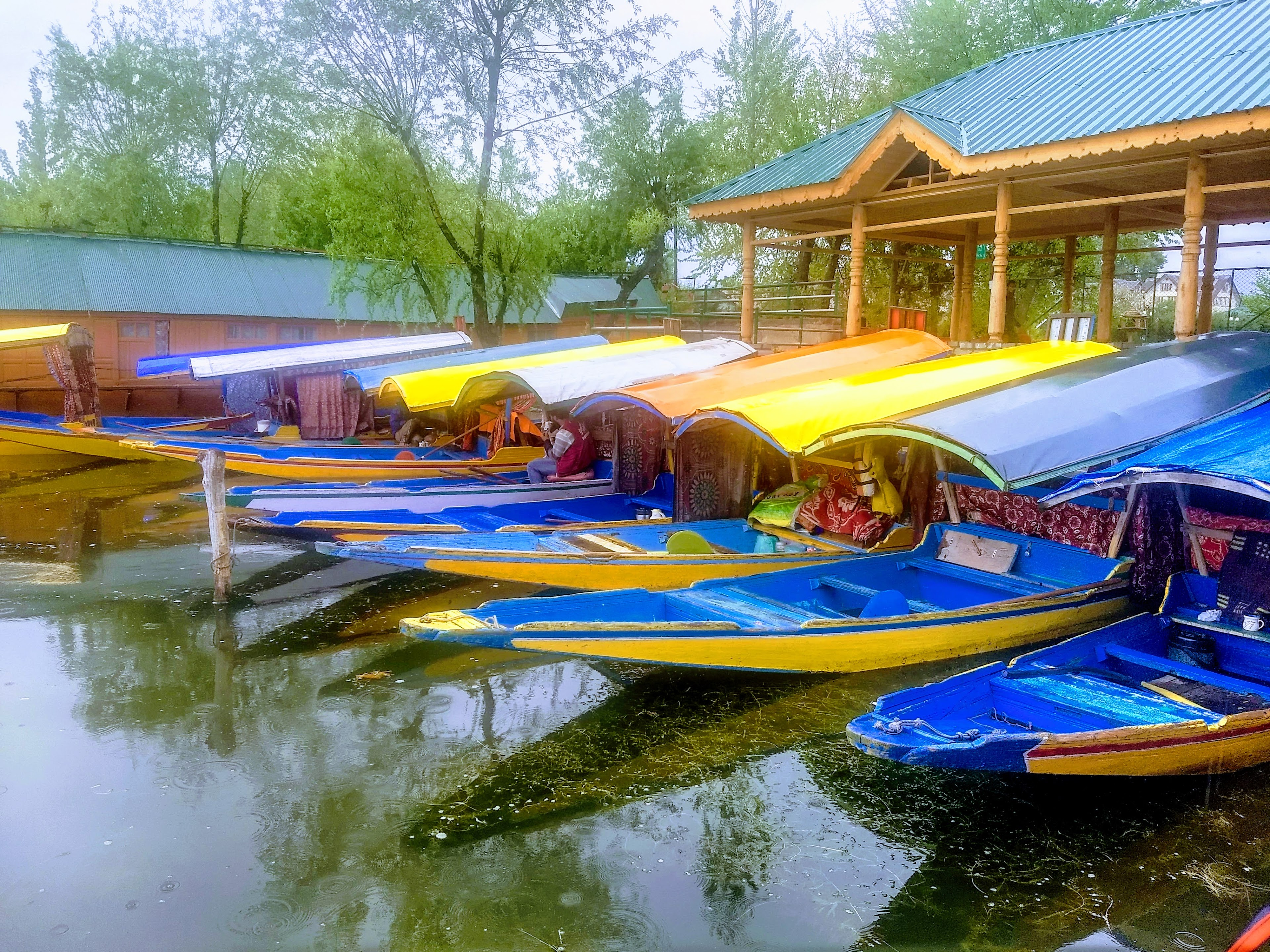 Nigeen Club, Srinagar — photo 3