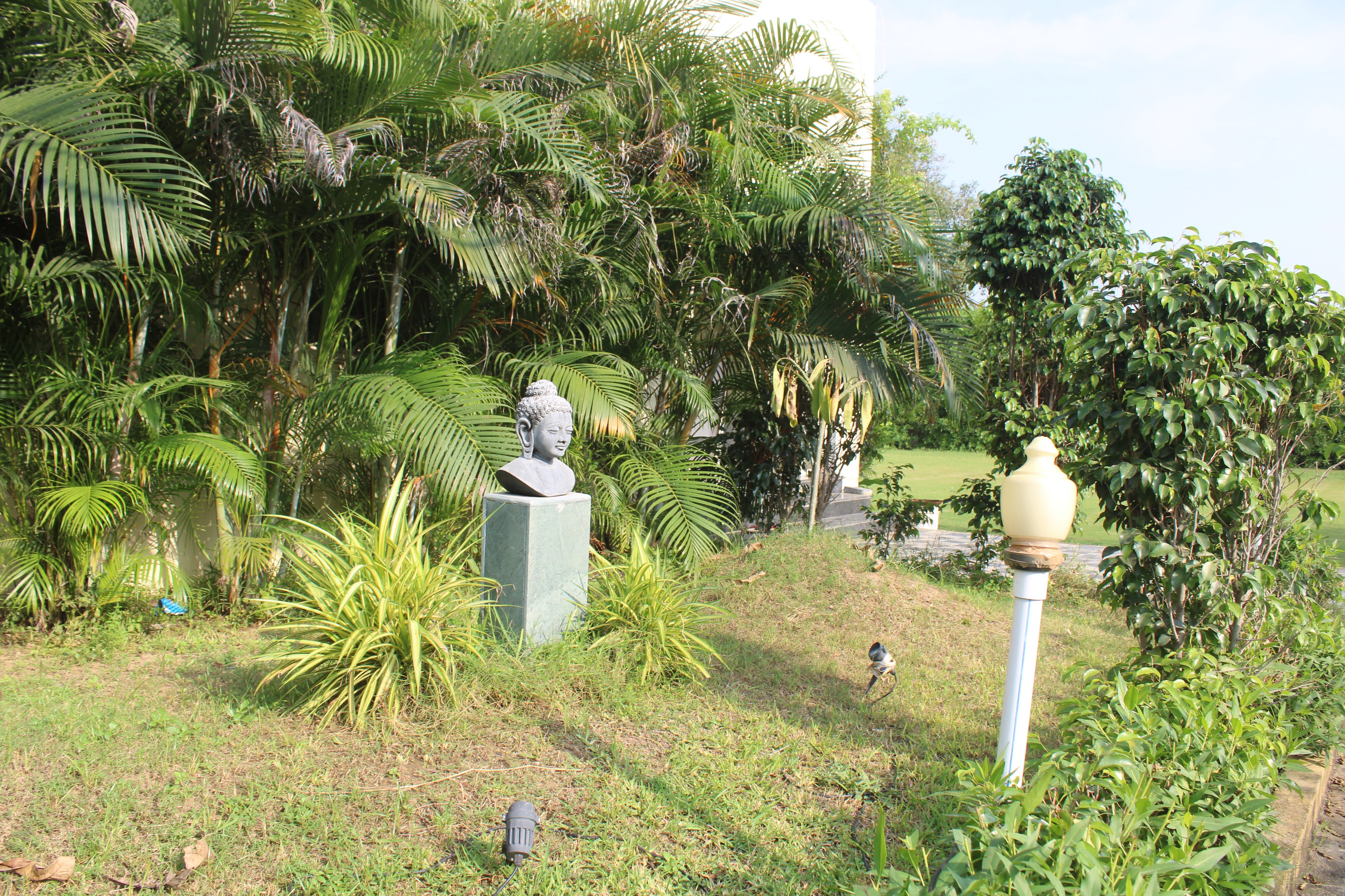 Grand Royal lawns and Banquet, Vadodara — photo 10