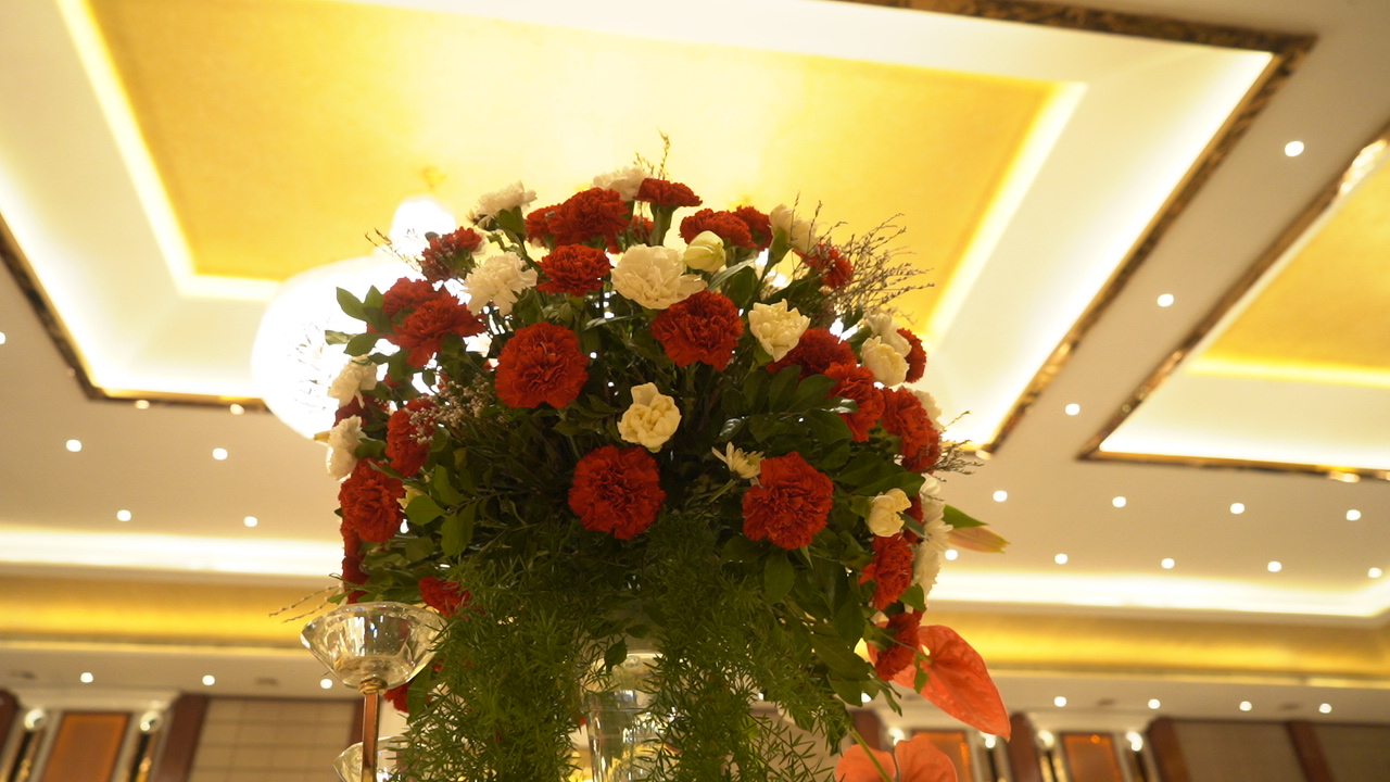 Viceroy Grand Luxury Celebrations - Top Banquet hall / Best Luxury hotel for wedding, Dehradun — photo 4