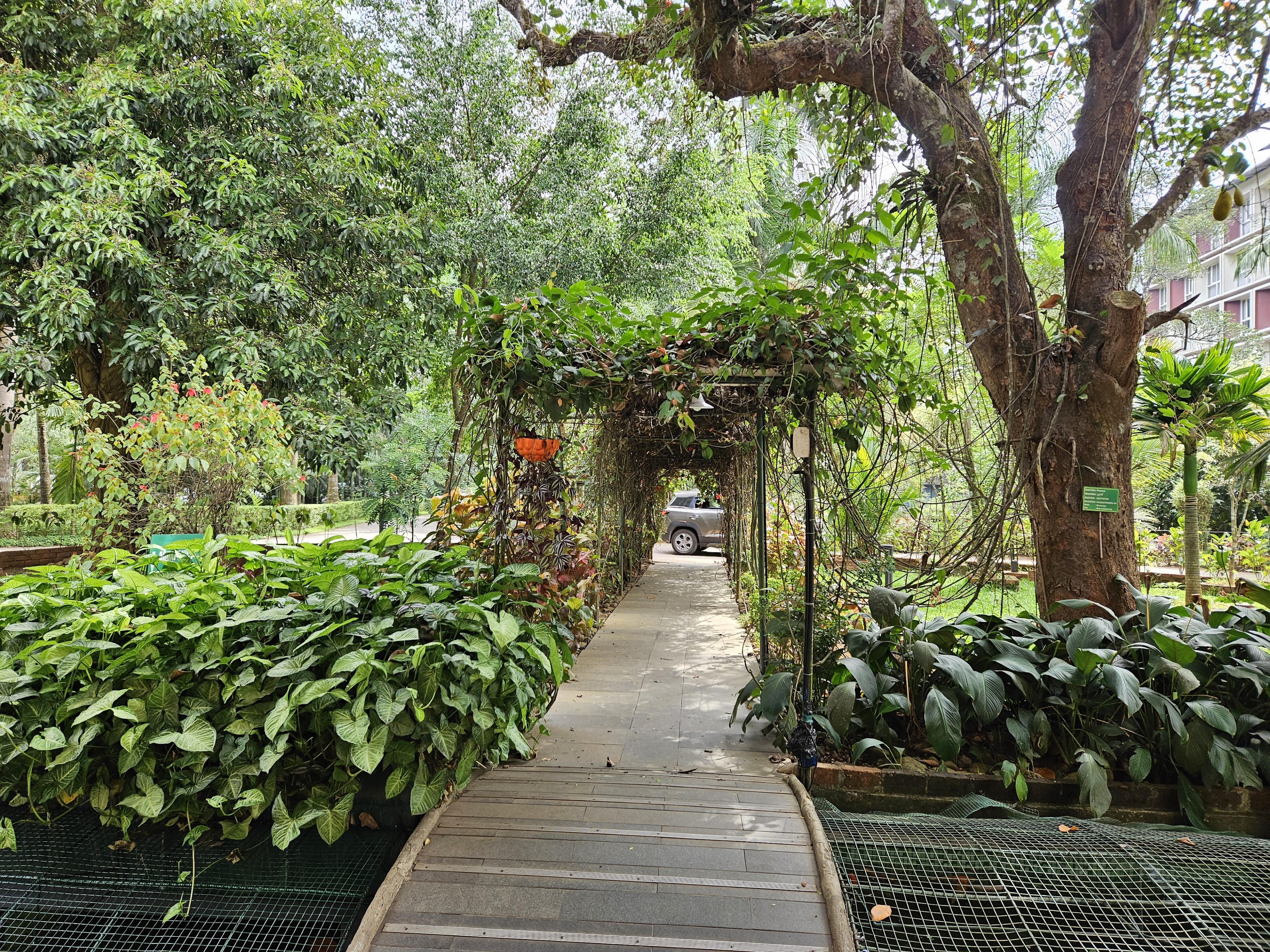 Vythiri Hall, Kalpetta — photo 7